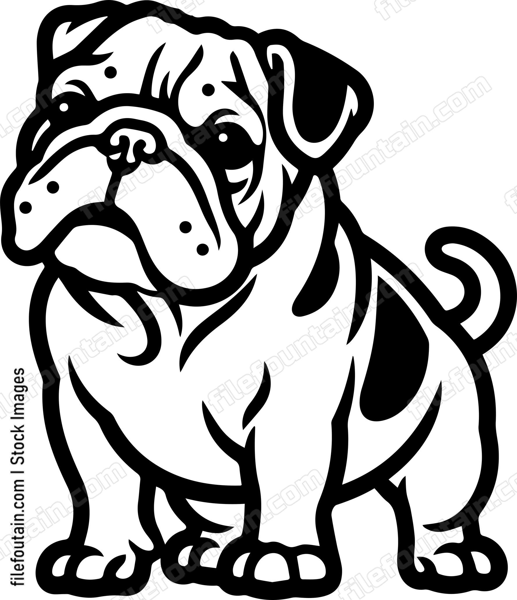 English Bulldog