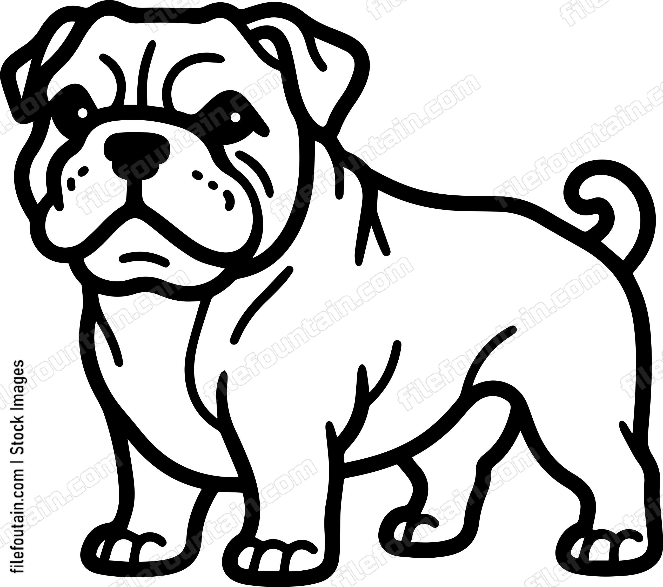 English Bulldog