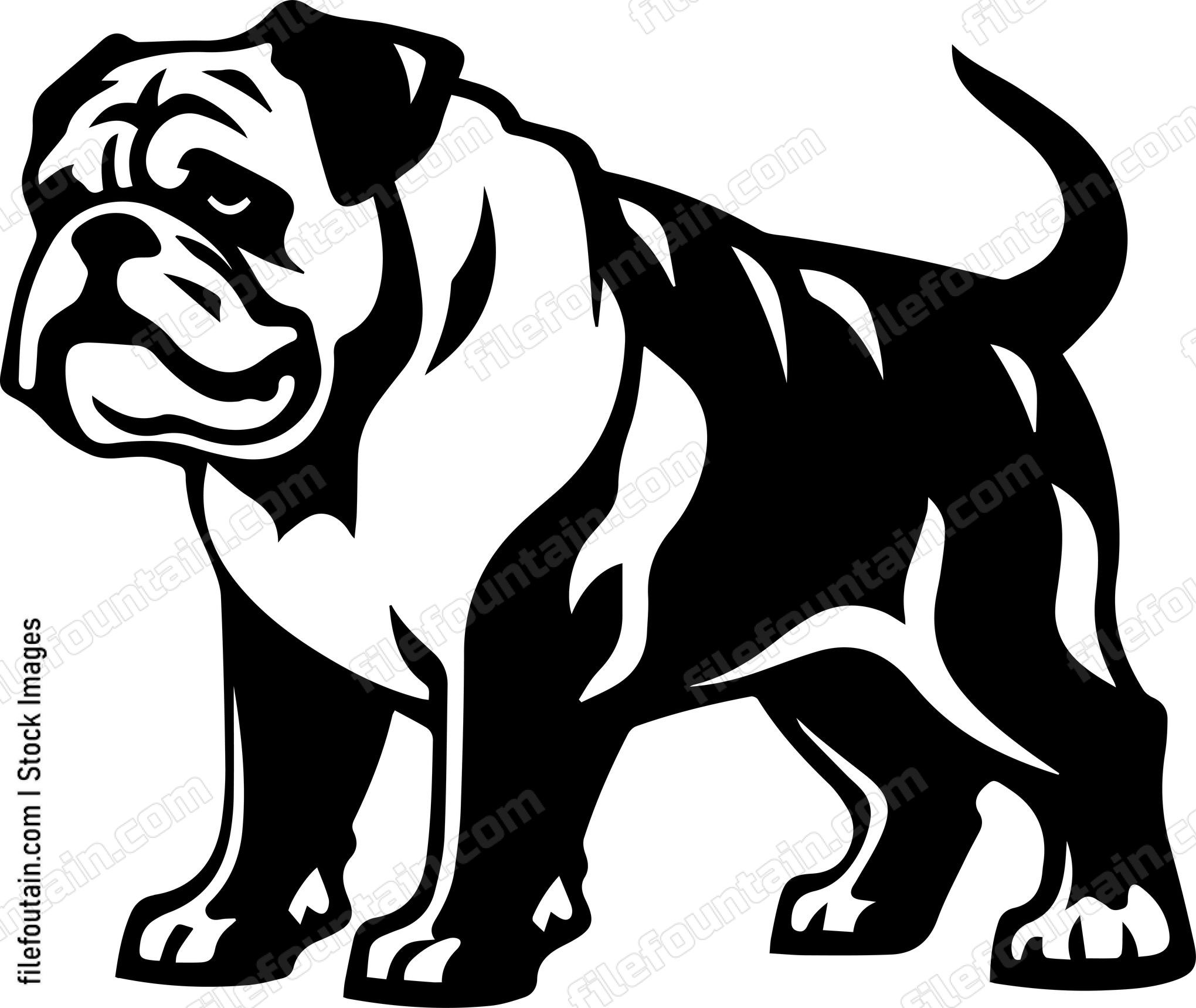 English Bulldog