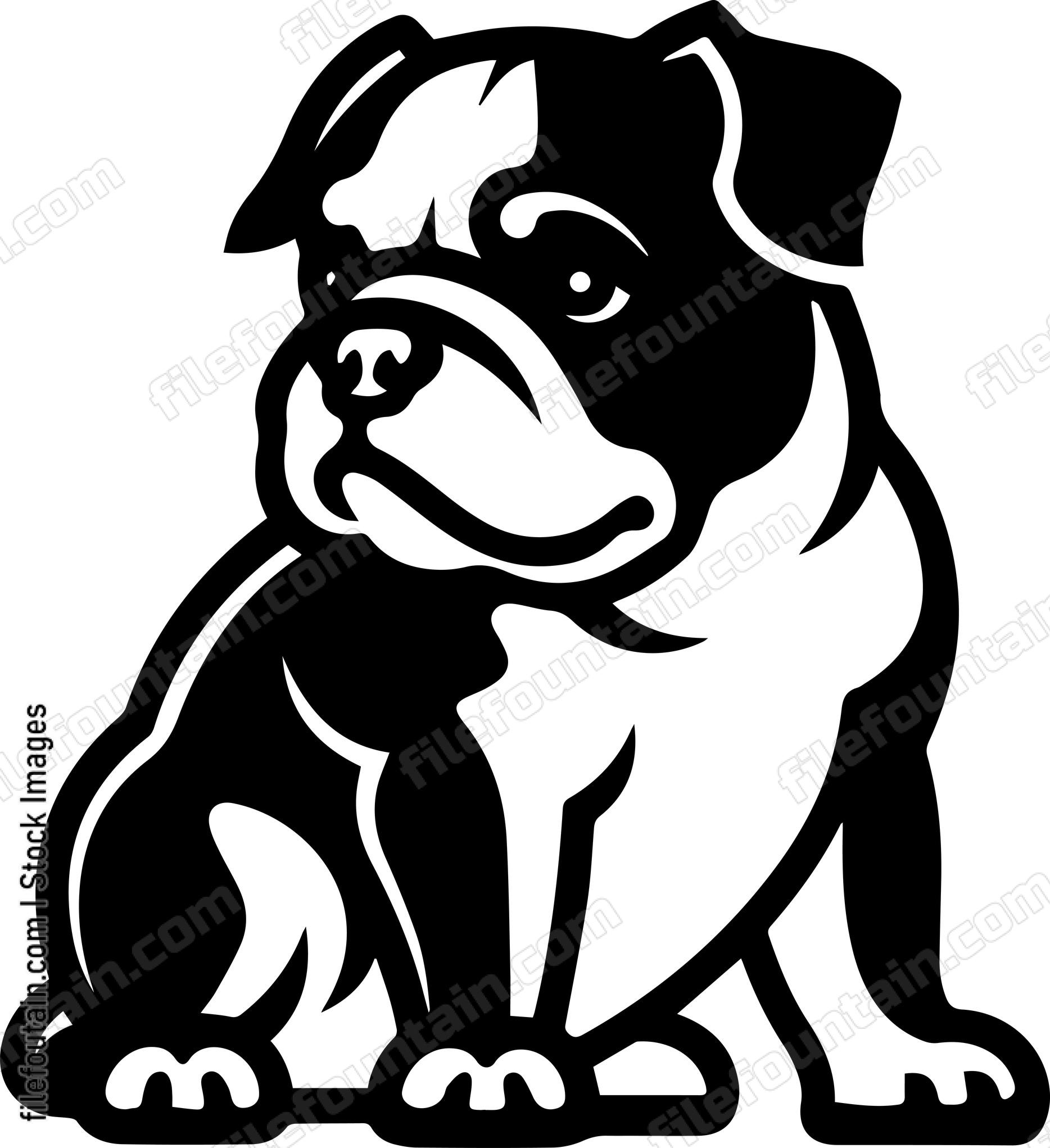 English Bulldog