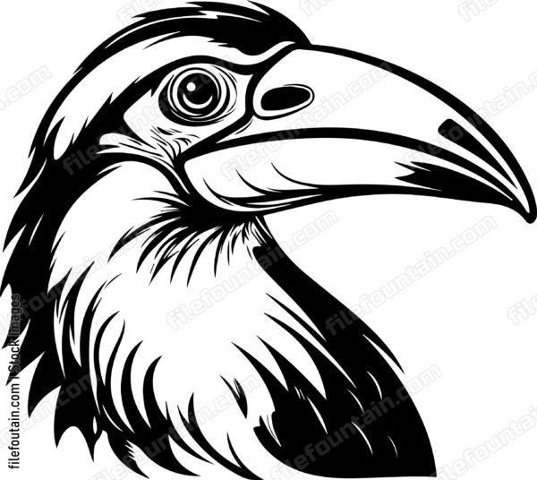Exotic Bird Head