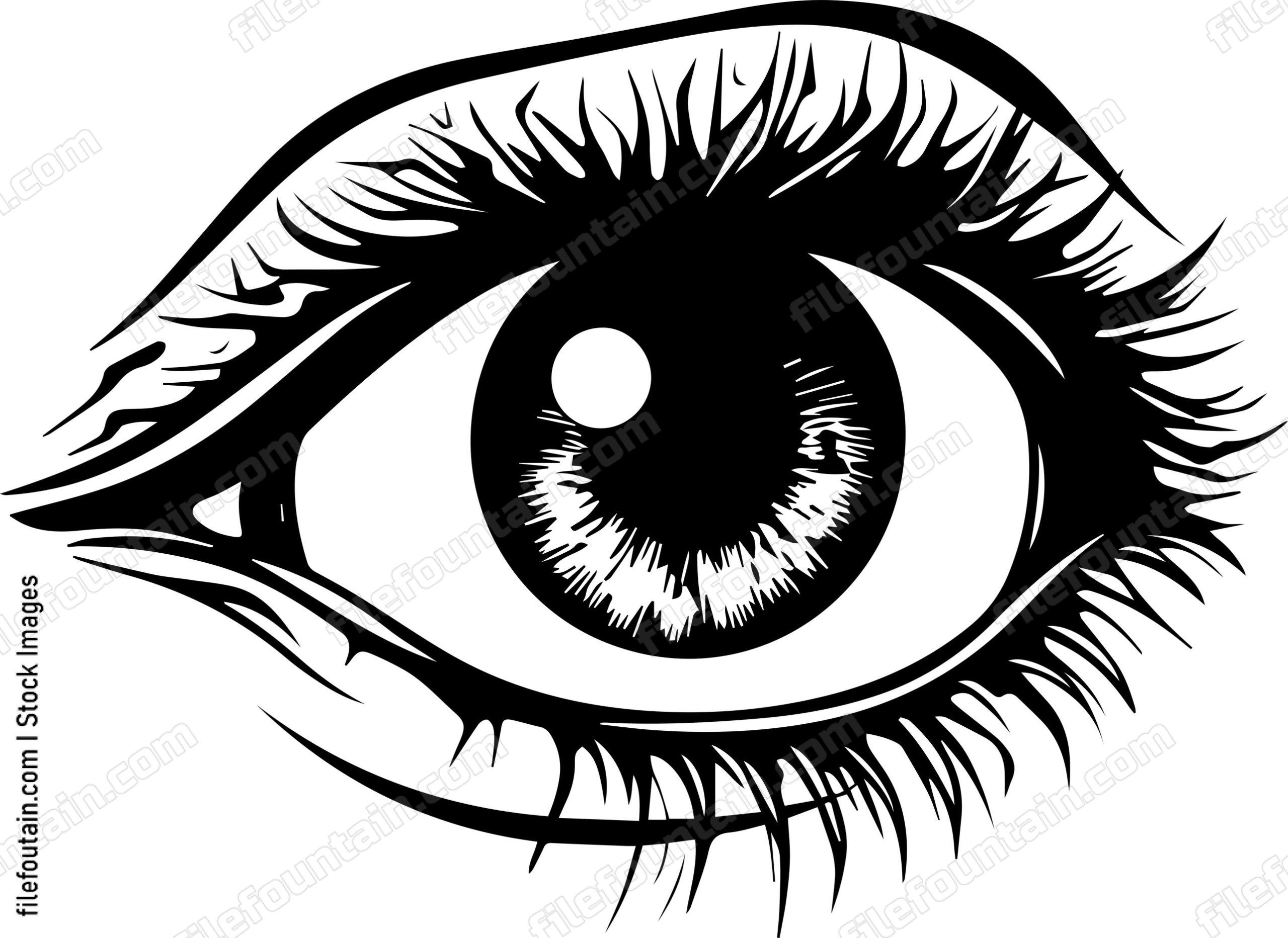 Eye