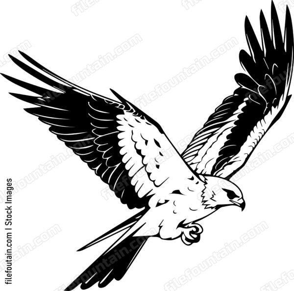 falcon Flying