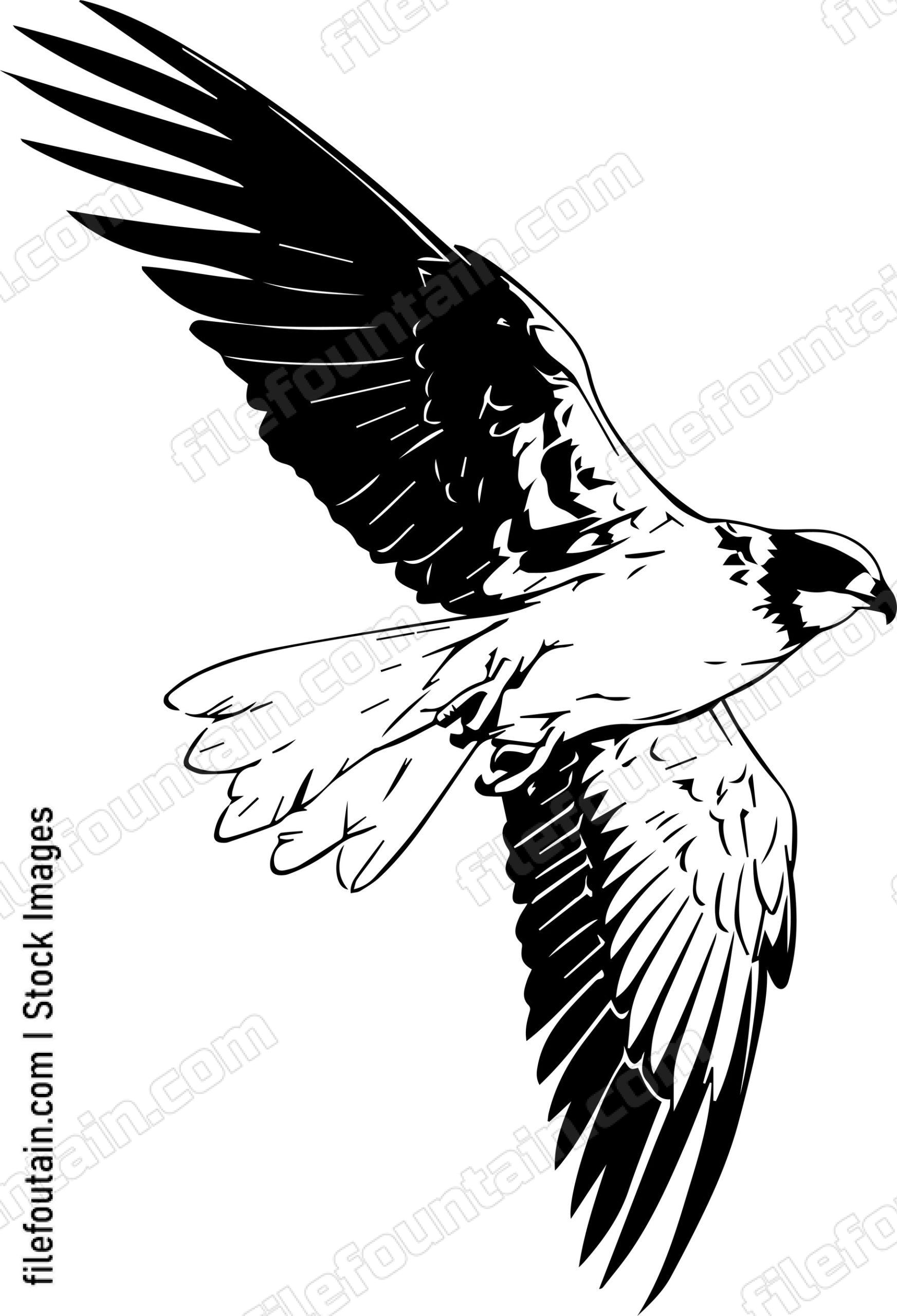 falcon Flying