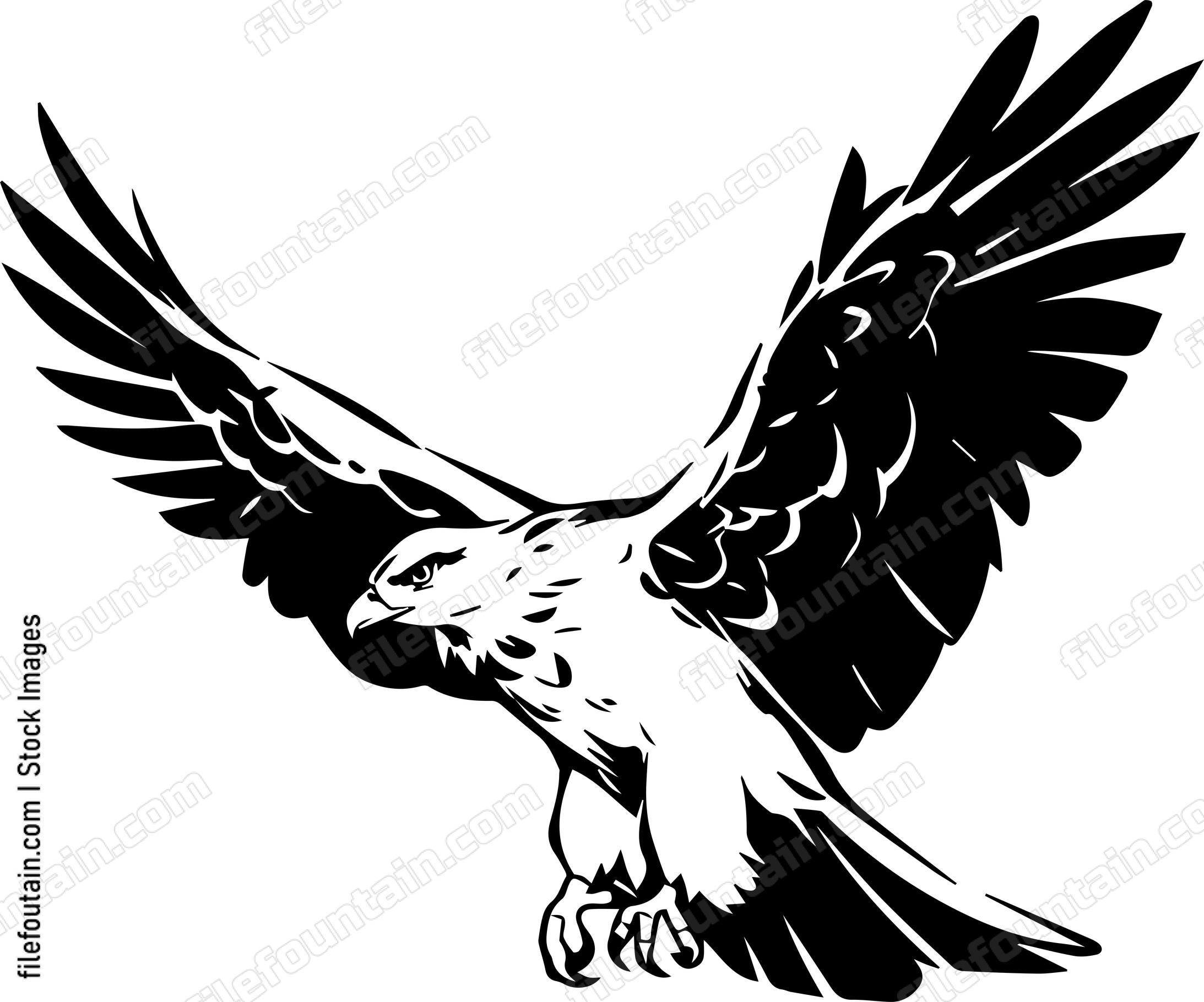 falcon Flying