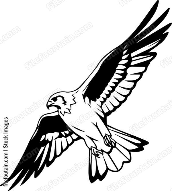 falcon Flying