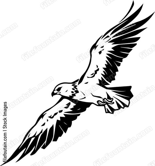 falcon Flying