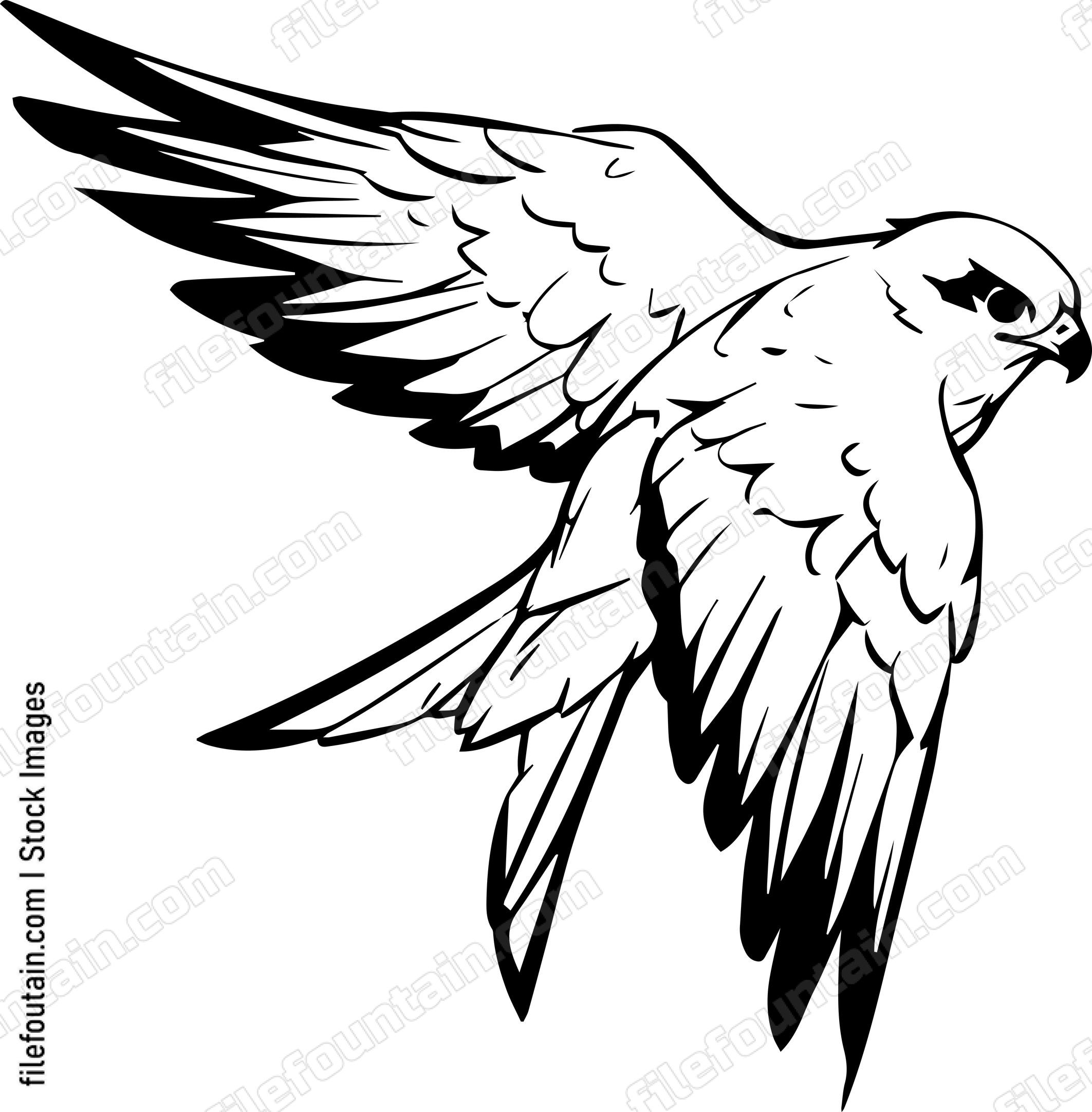 falcon Flying