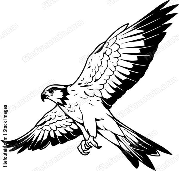 falcon Flying
