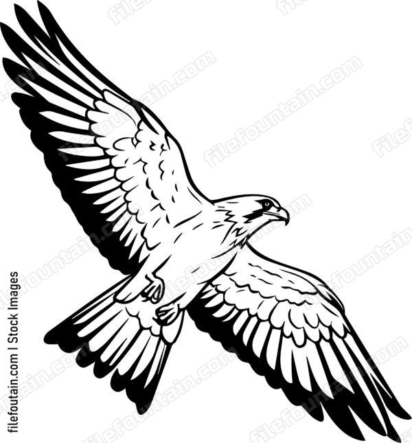 falcon Flying