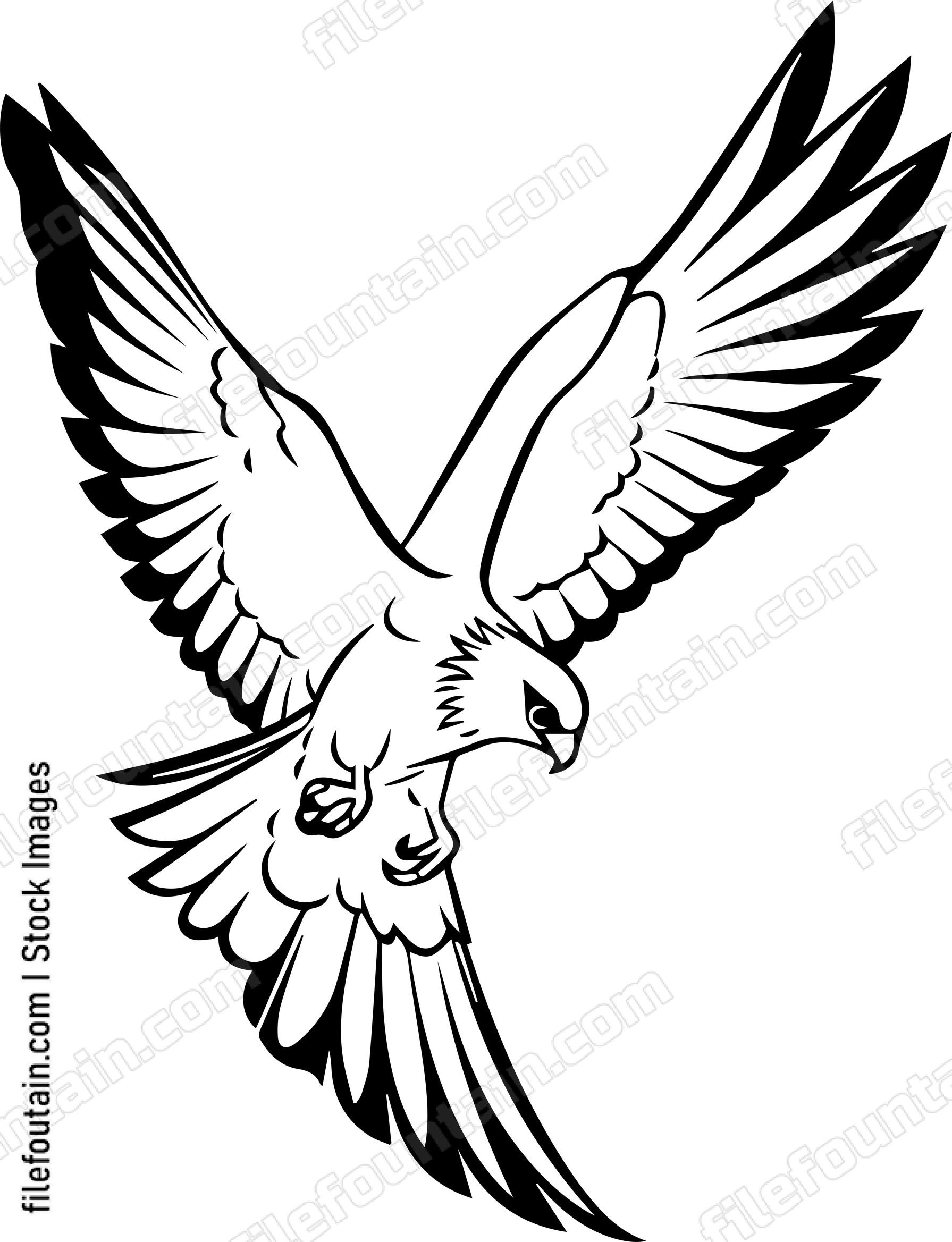 falcon Flying