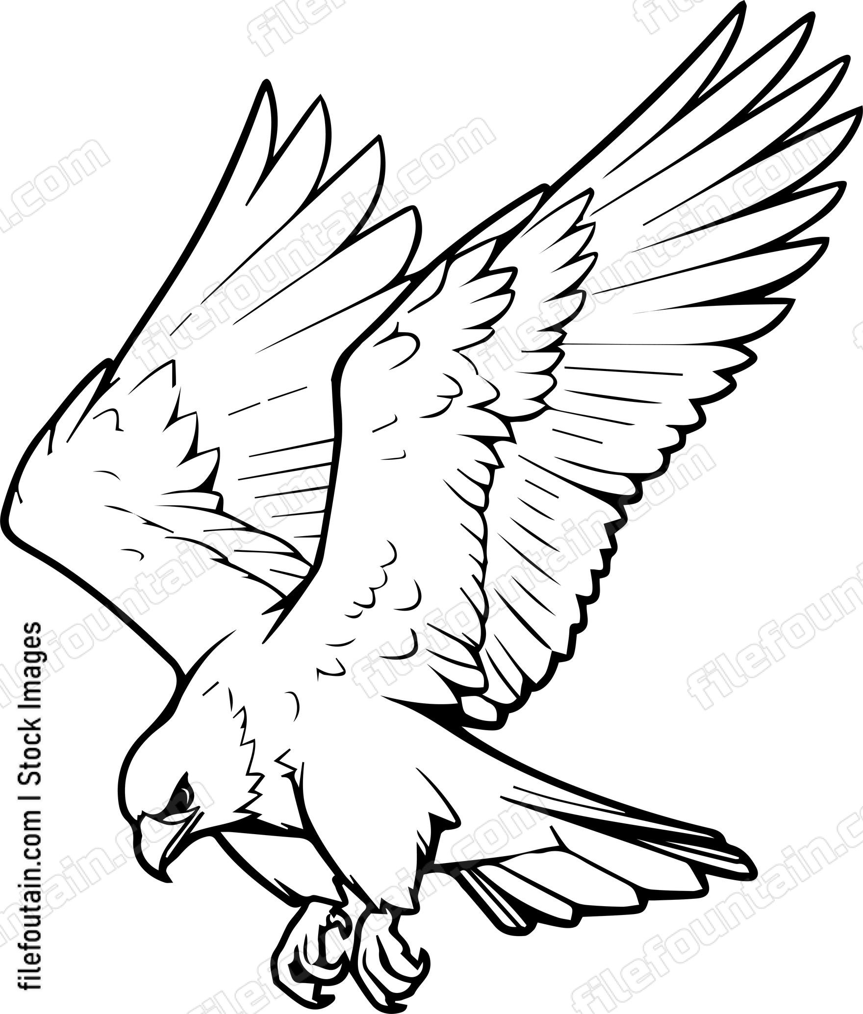 falcon Flying