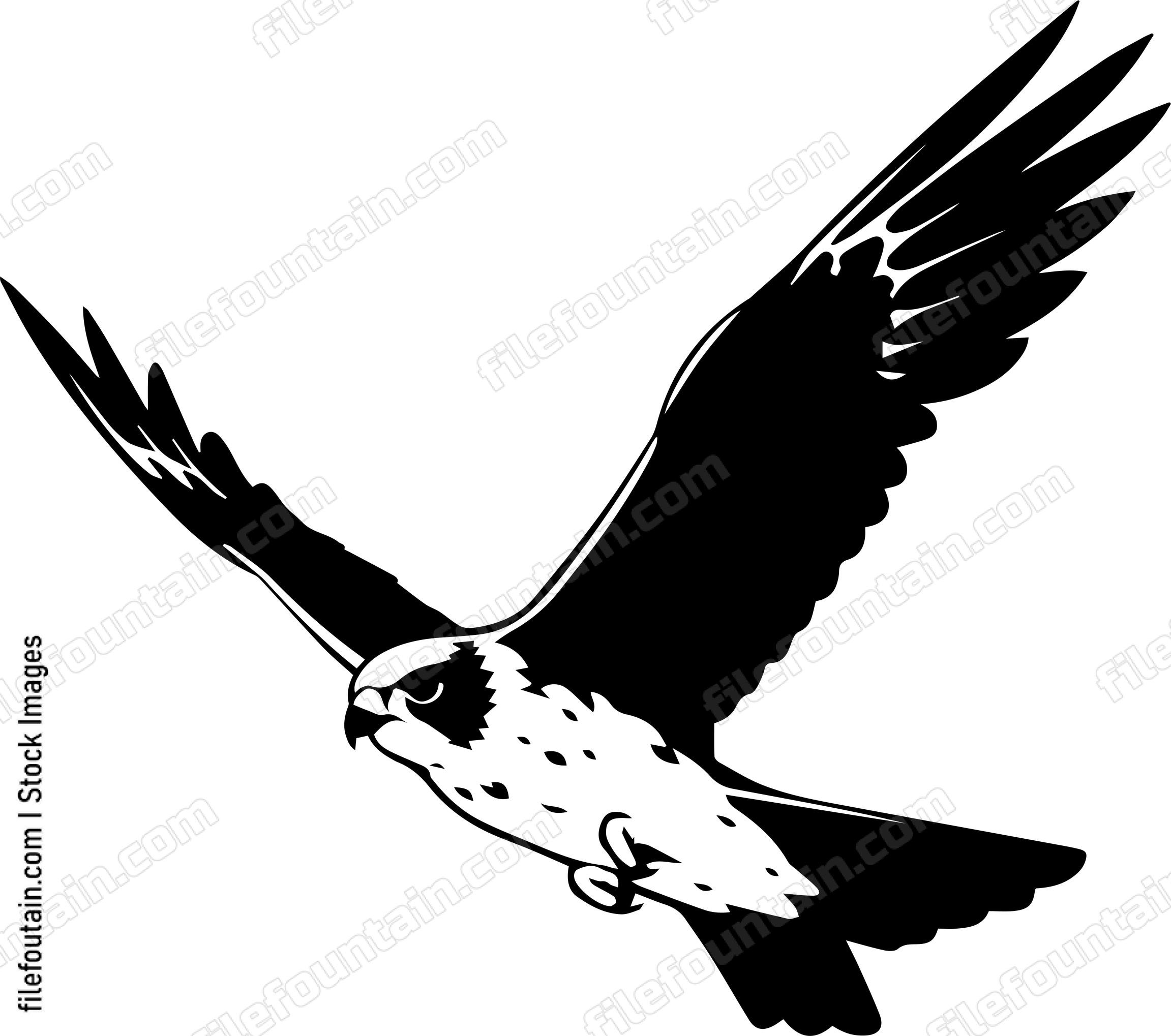 falcon Flying