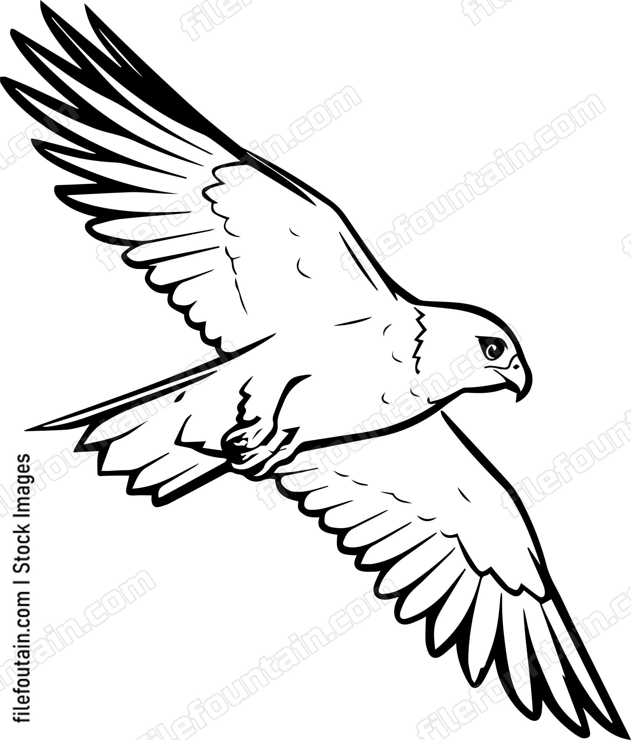 falcon Flying