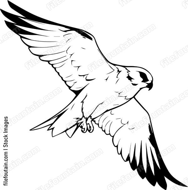 falcon Flying