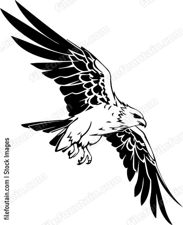 falcon Flying