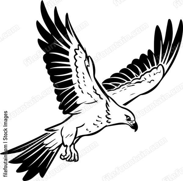 falcon Flying
