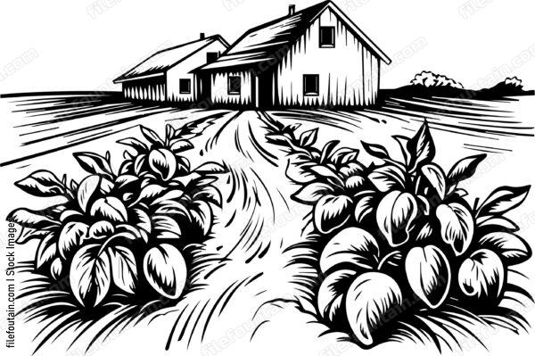 Farm Property