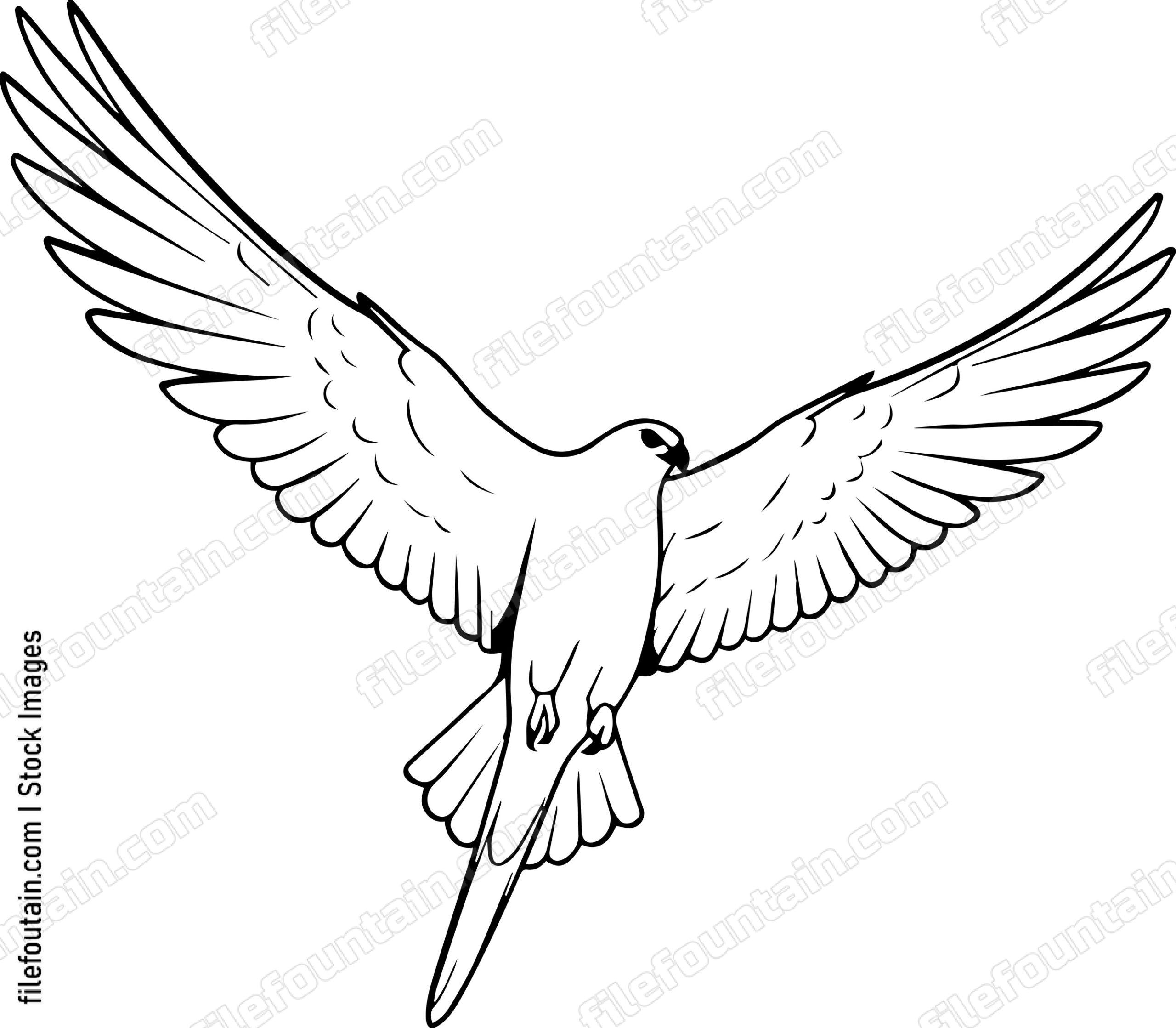 Flying White Bird