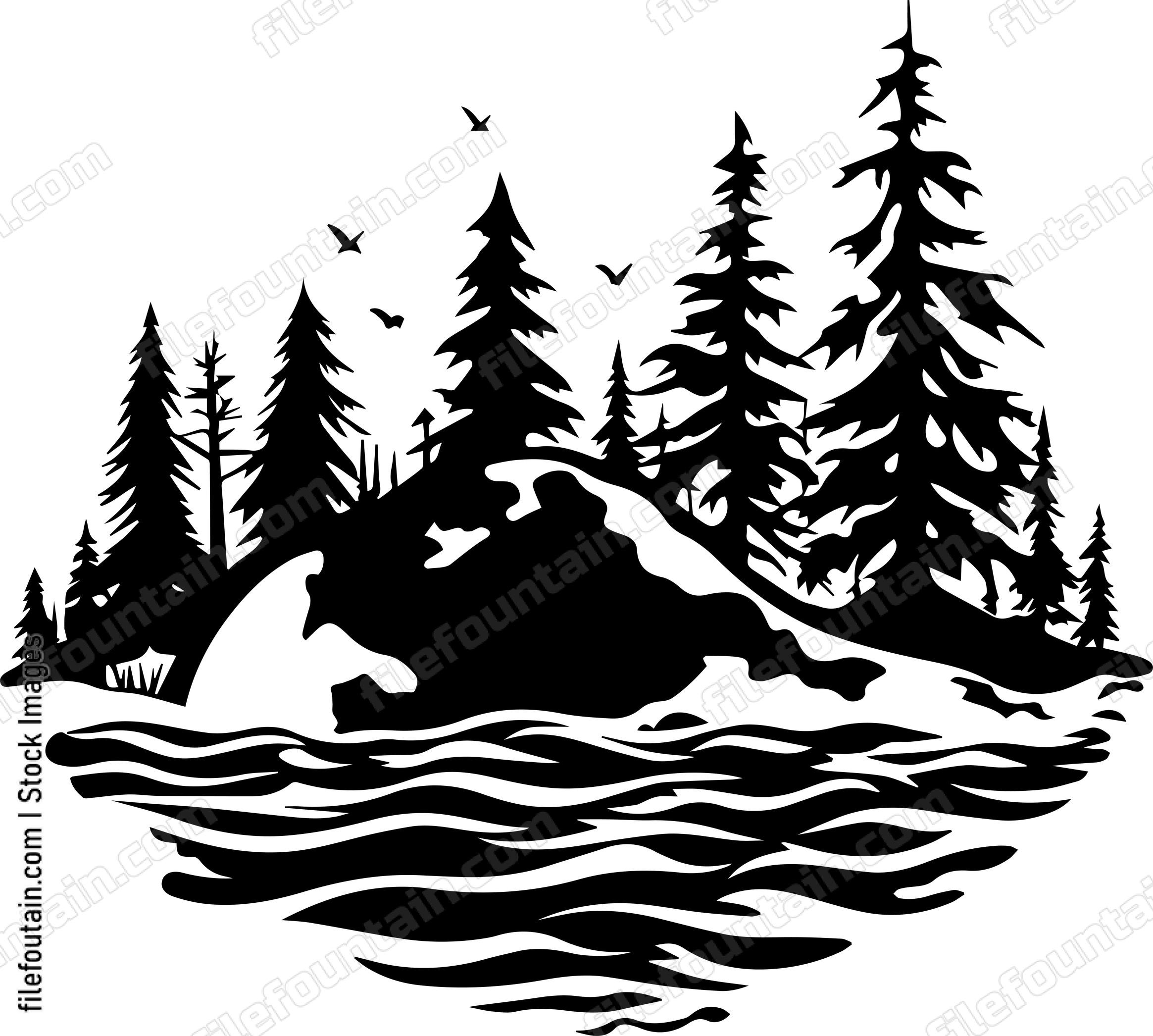 forest landscape