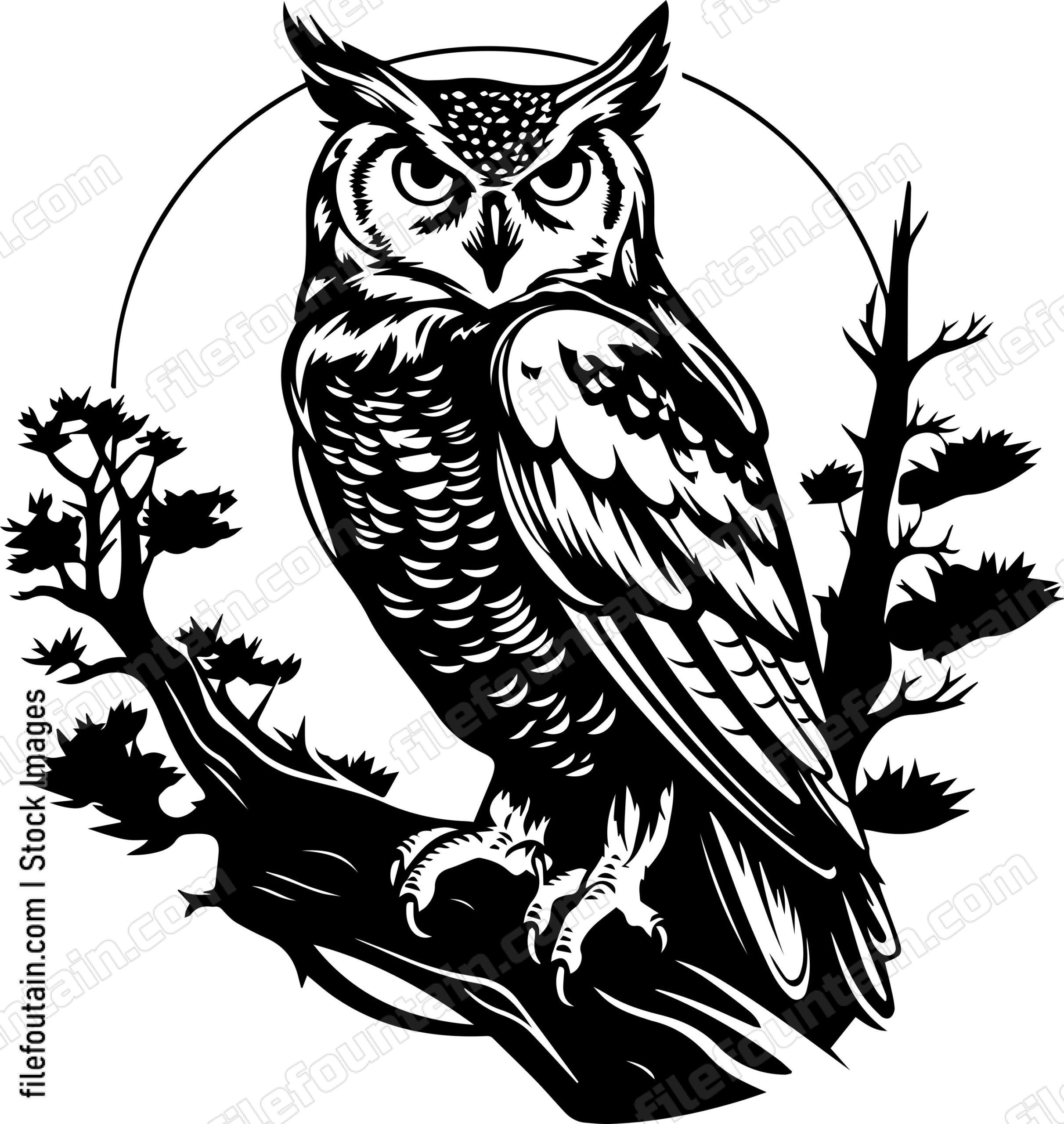 Forest Owl On Tree Branch