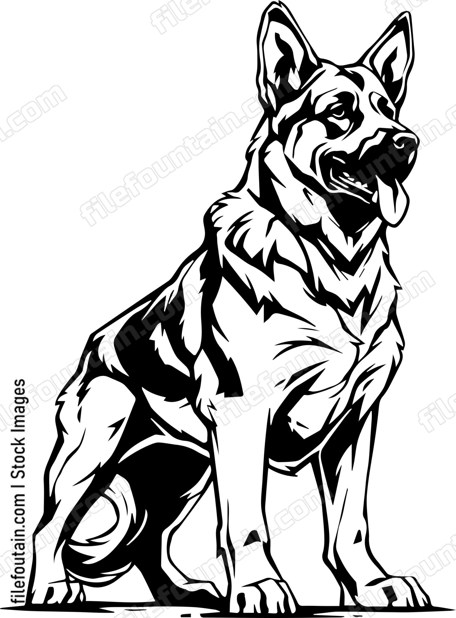 German Shepherd