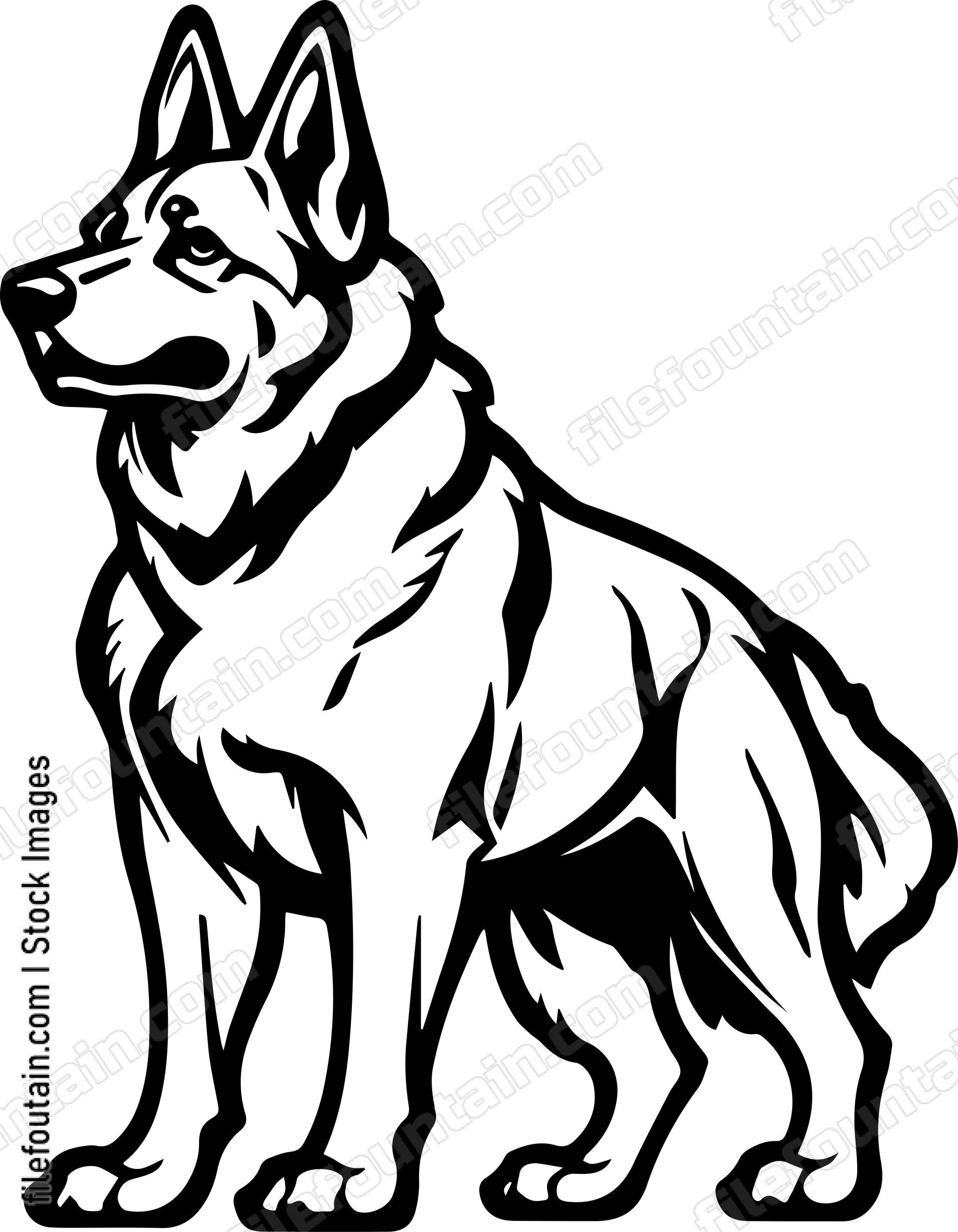 German Shepherd