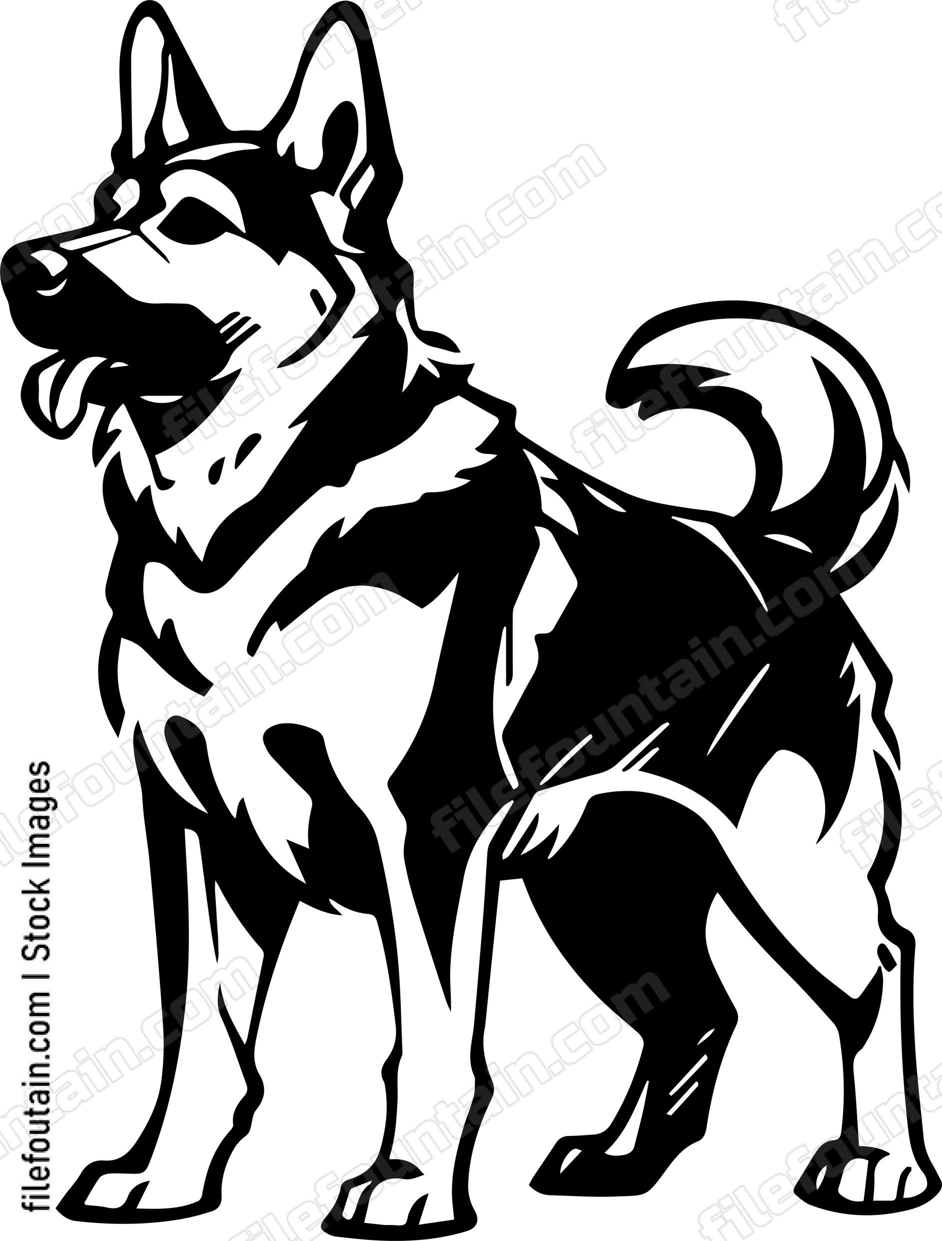 German Shepherd