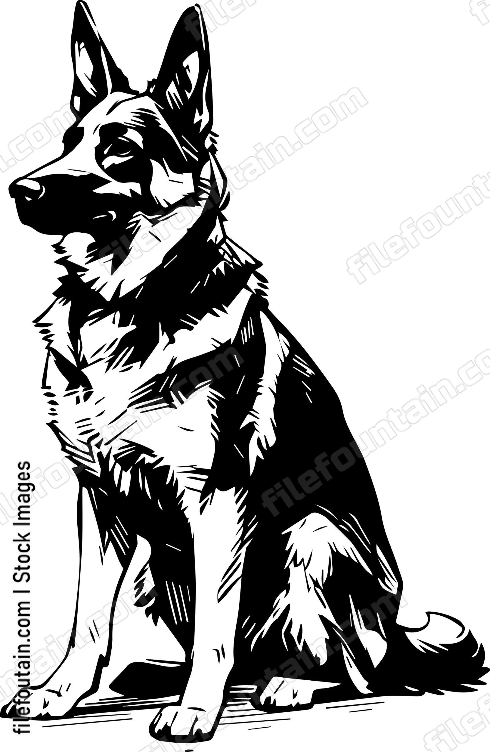 German Shepherd