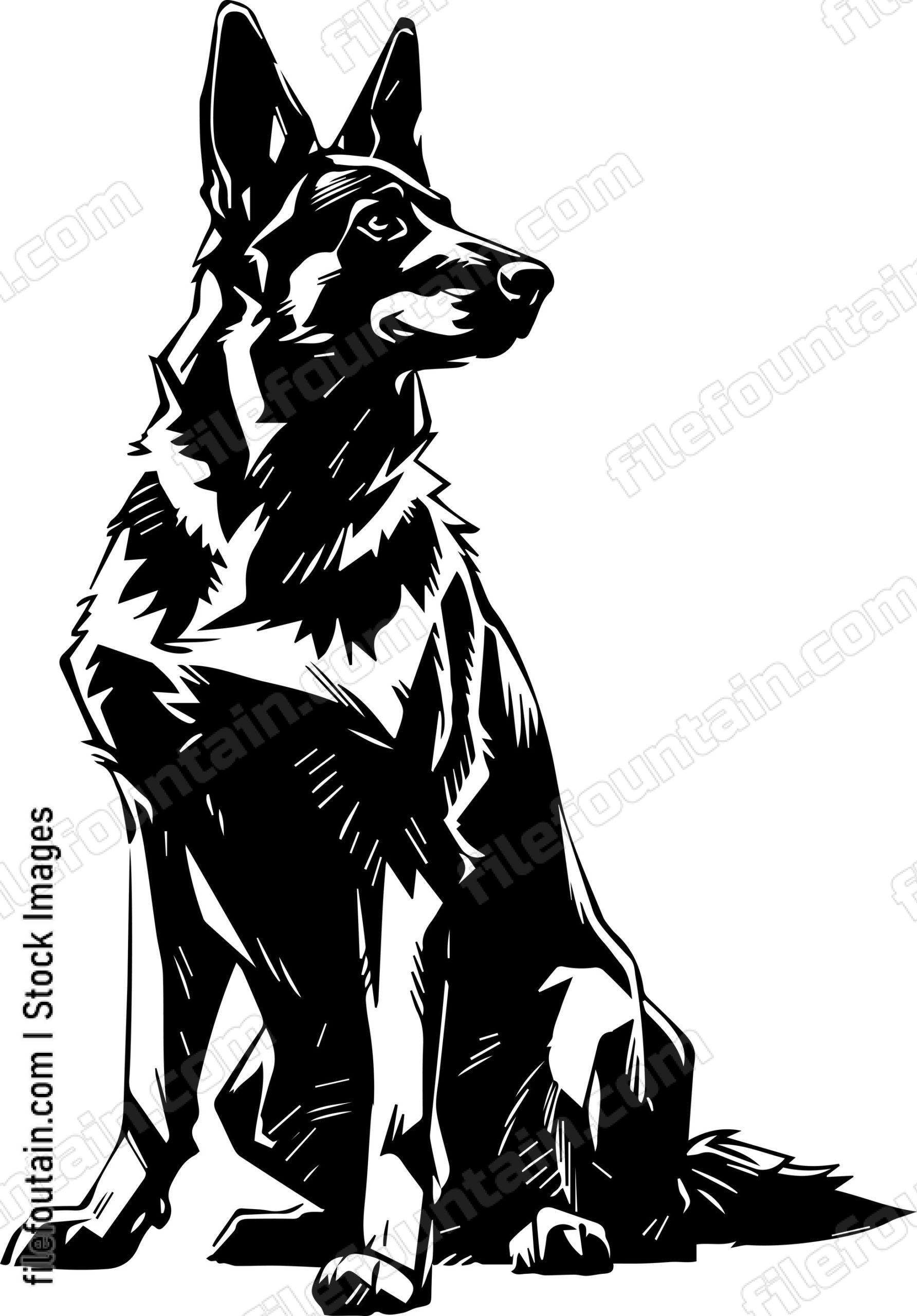 German Shepherd
