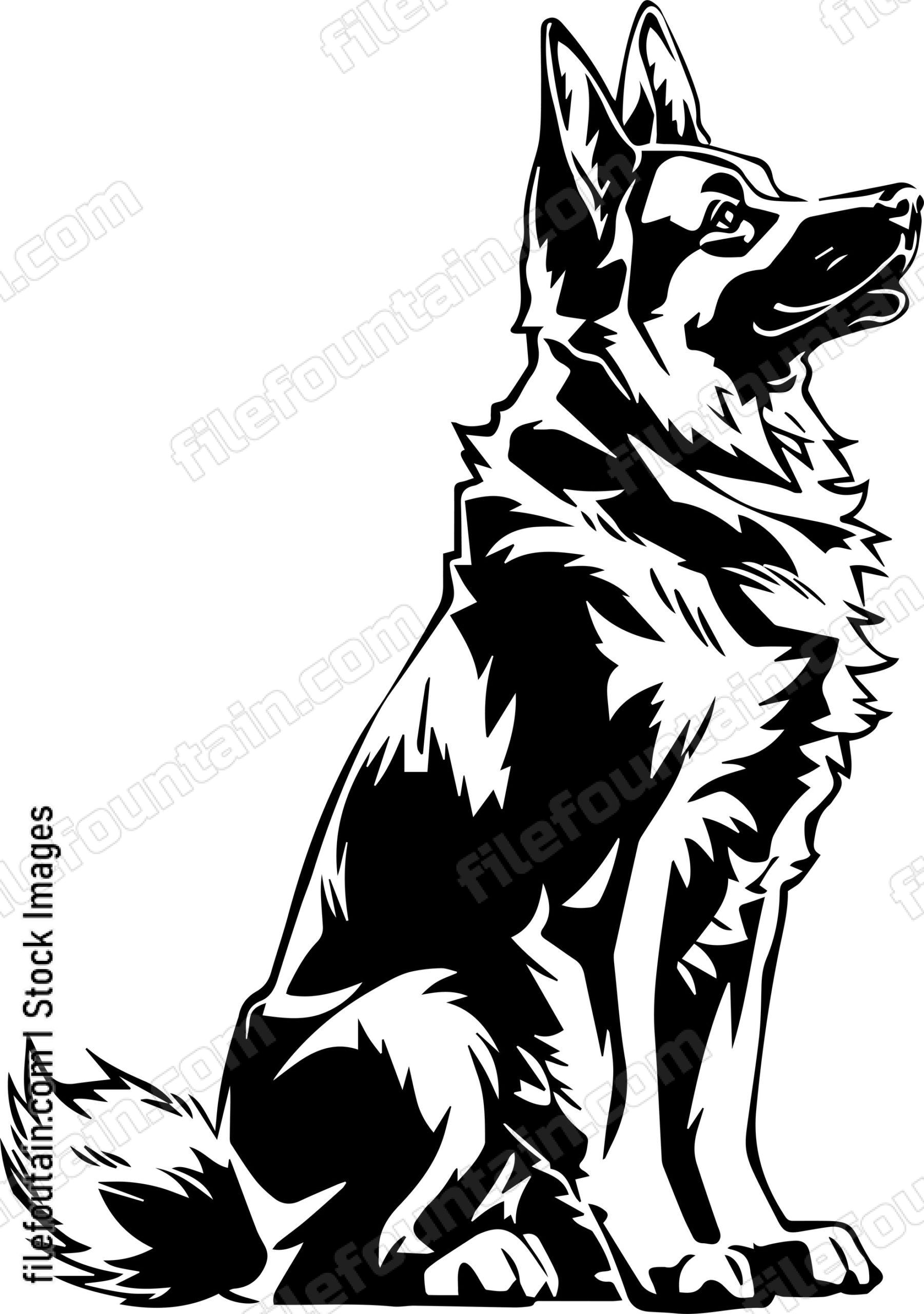 German Shepherd