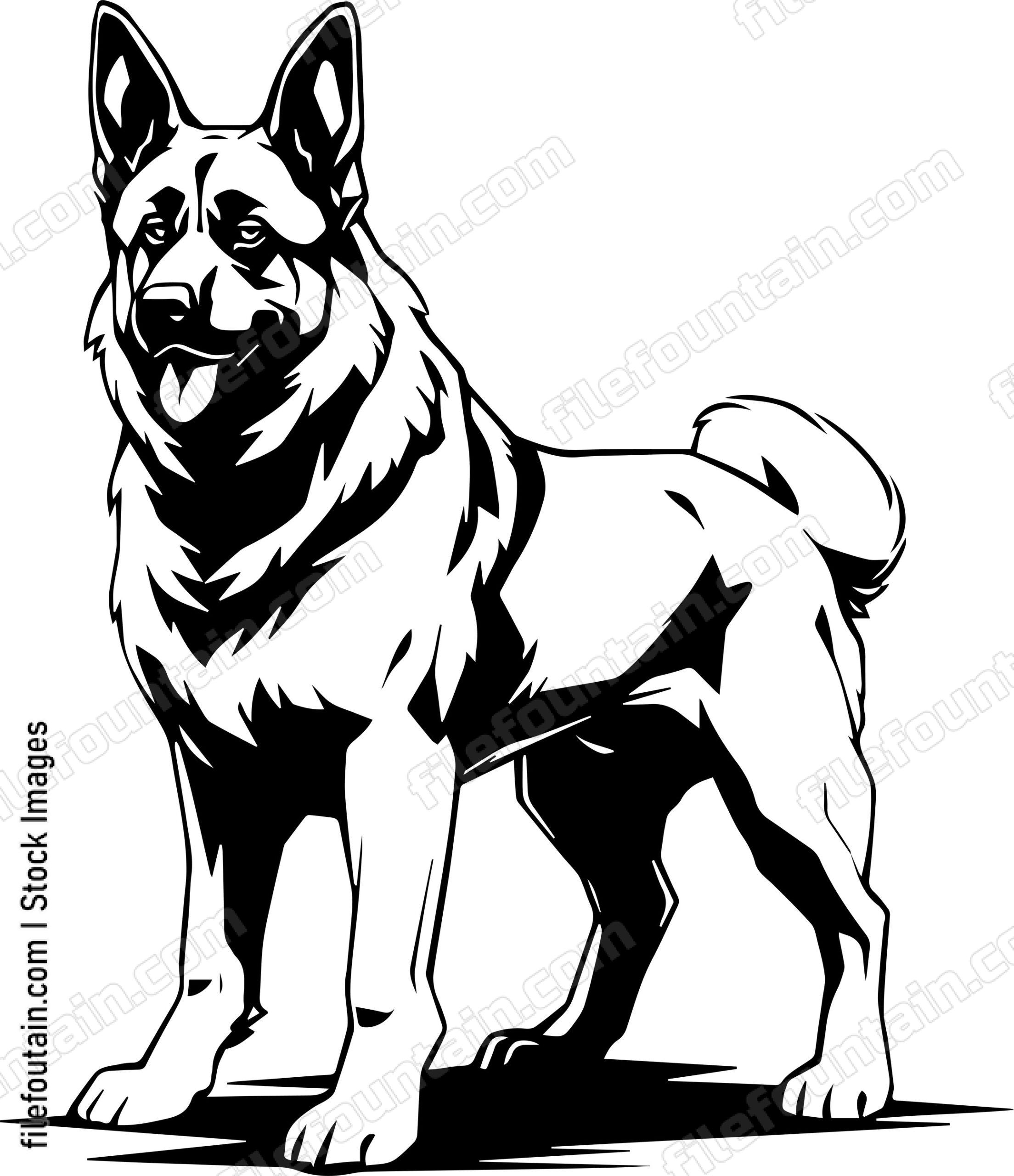 German Shepherd