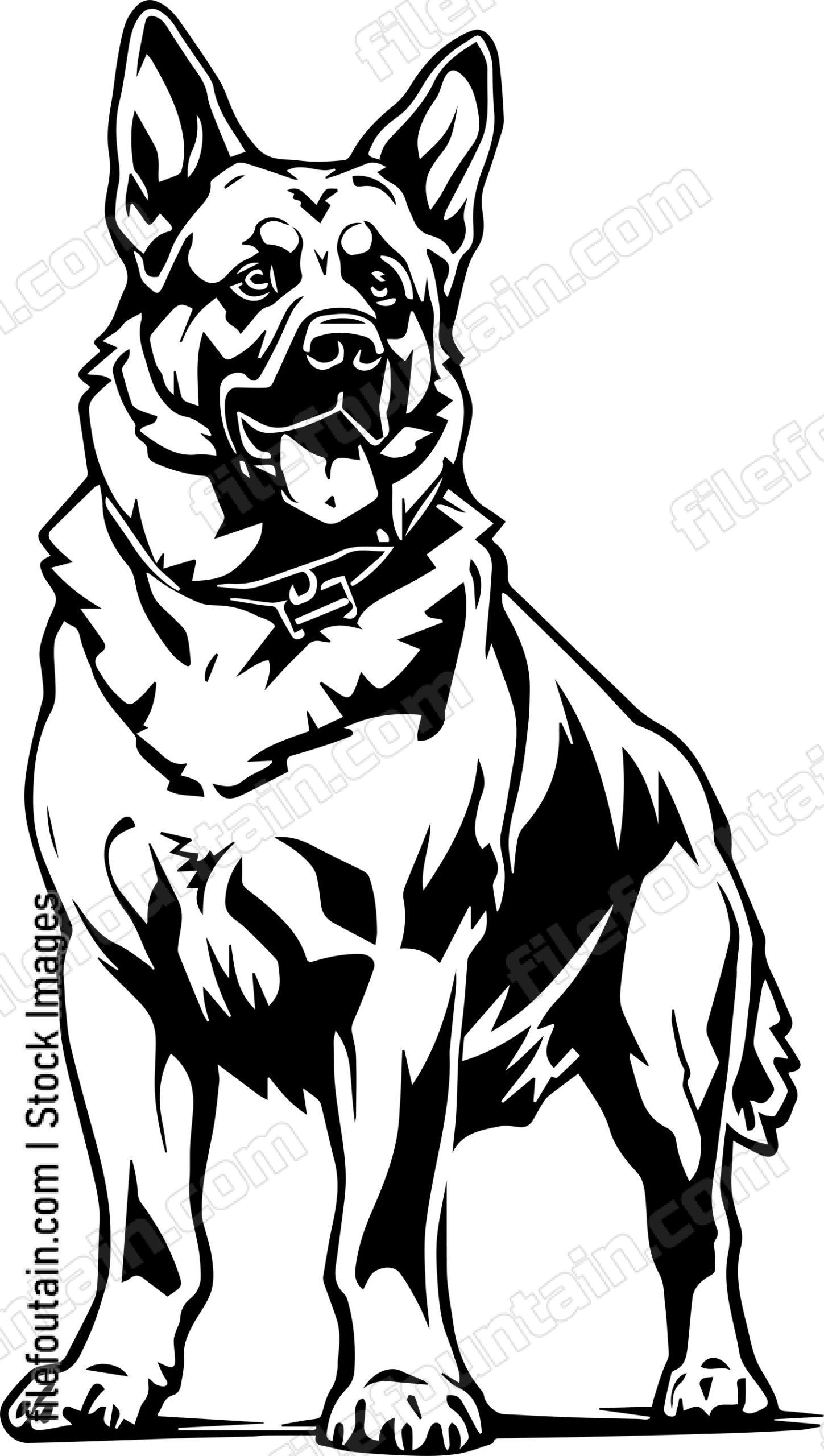 German Shepherd
