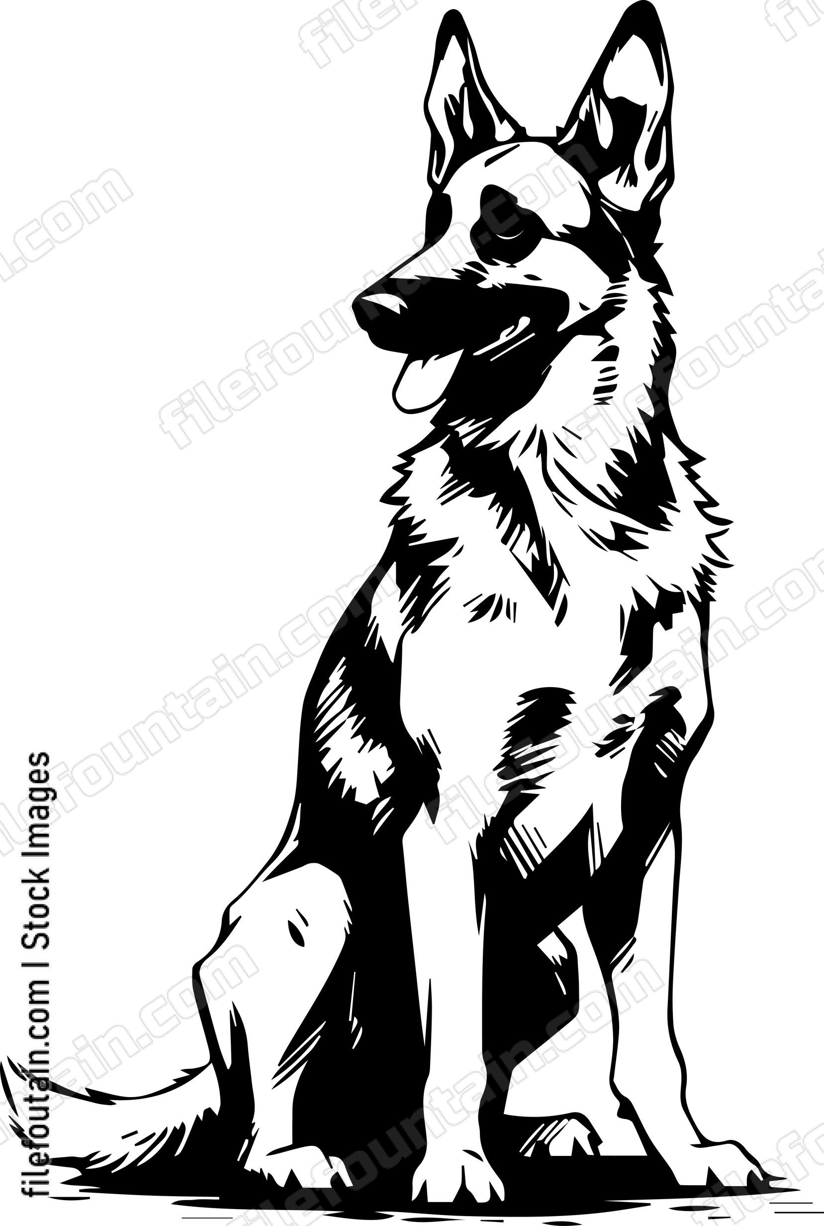 German Shepherd