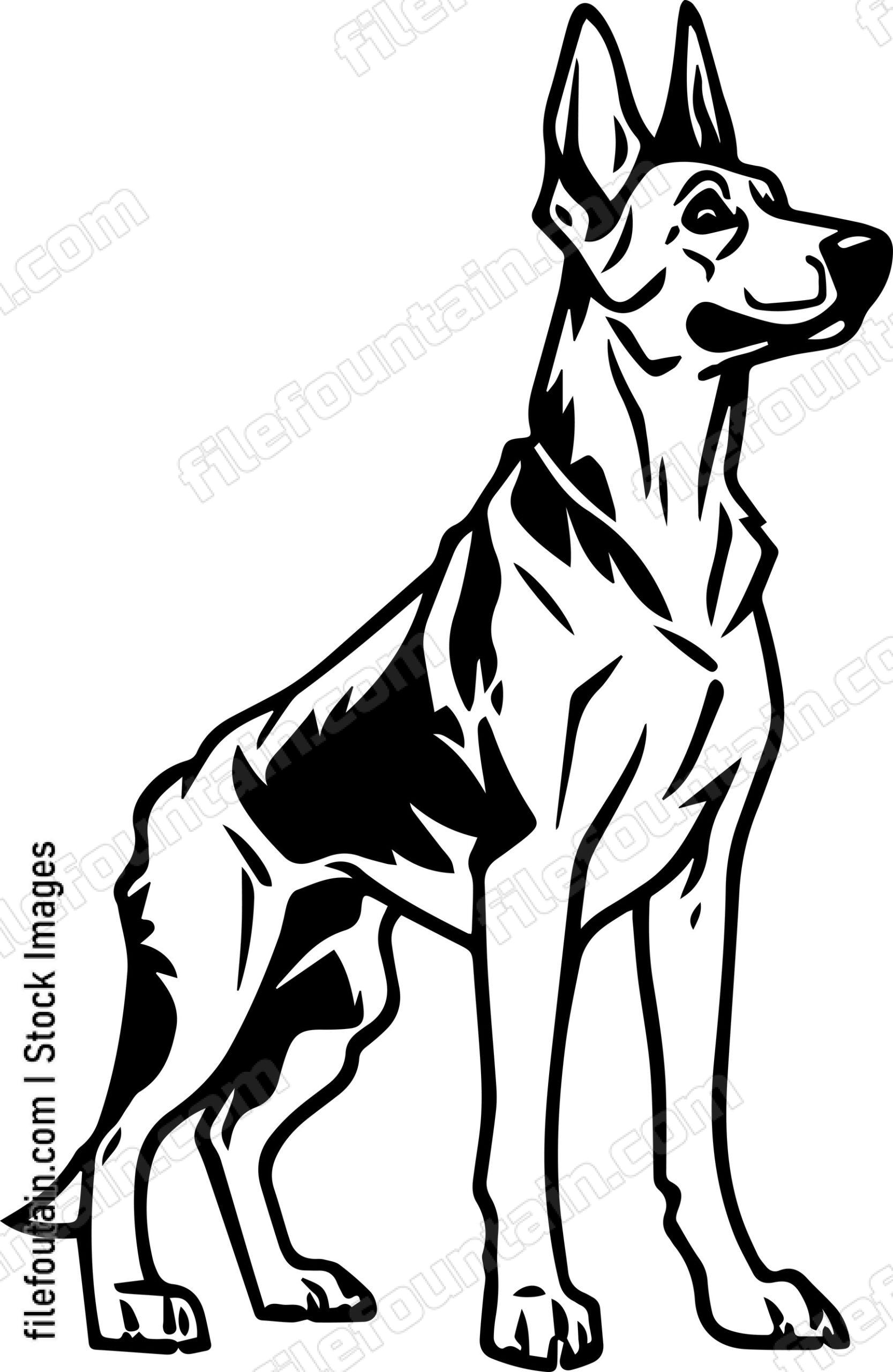 German Shepherd