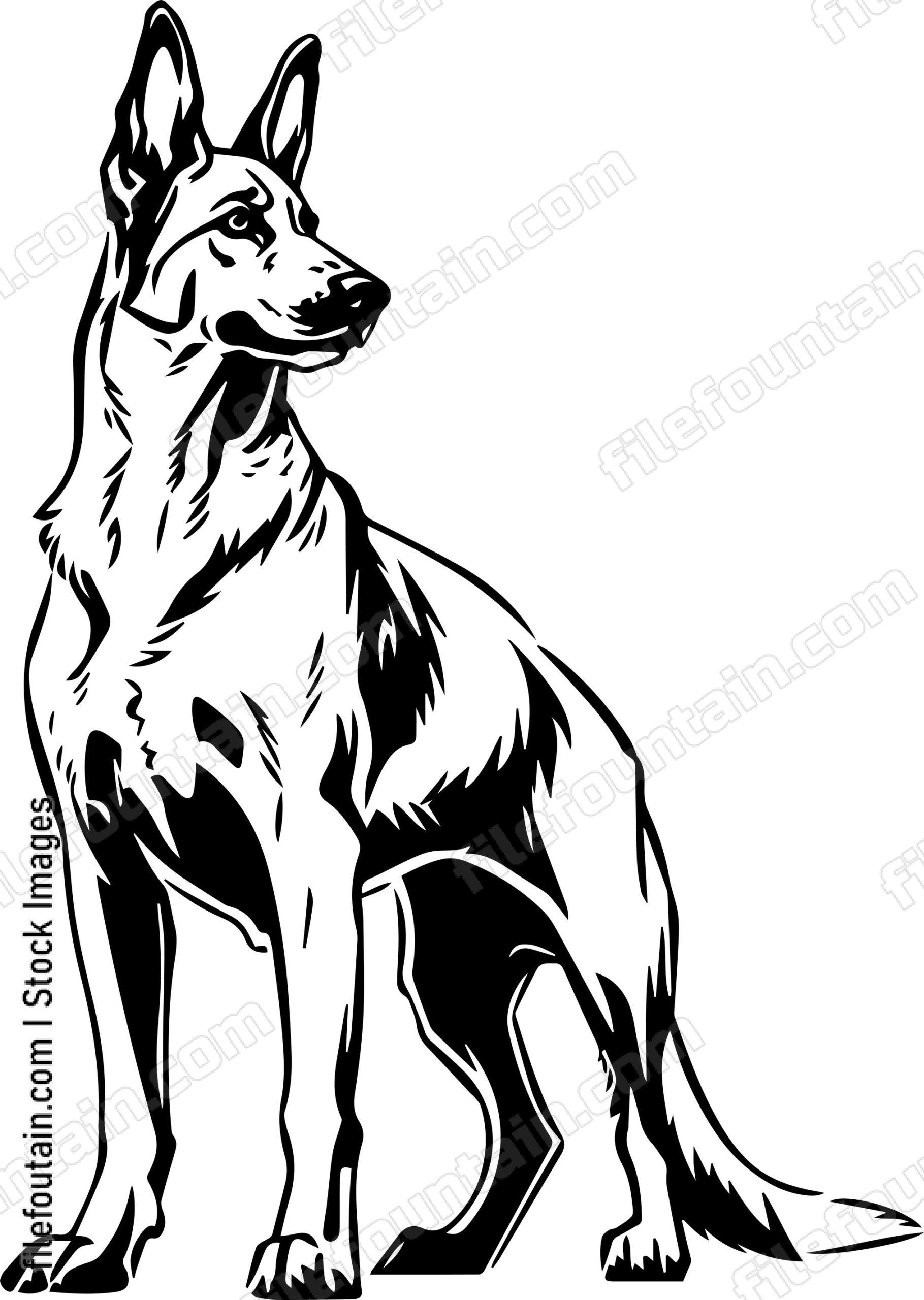 German Shepherd