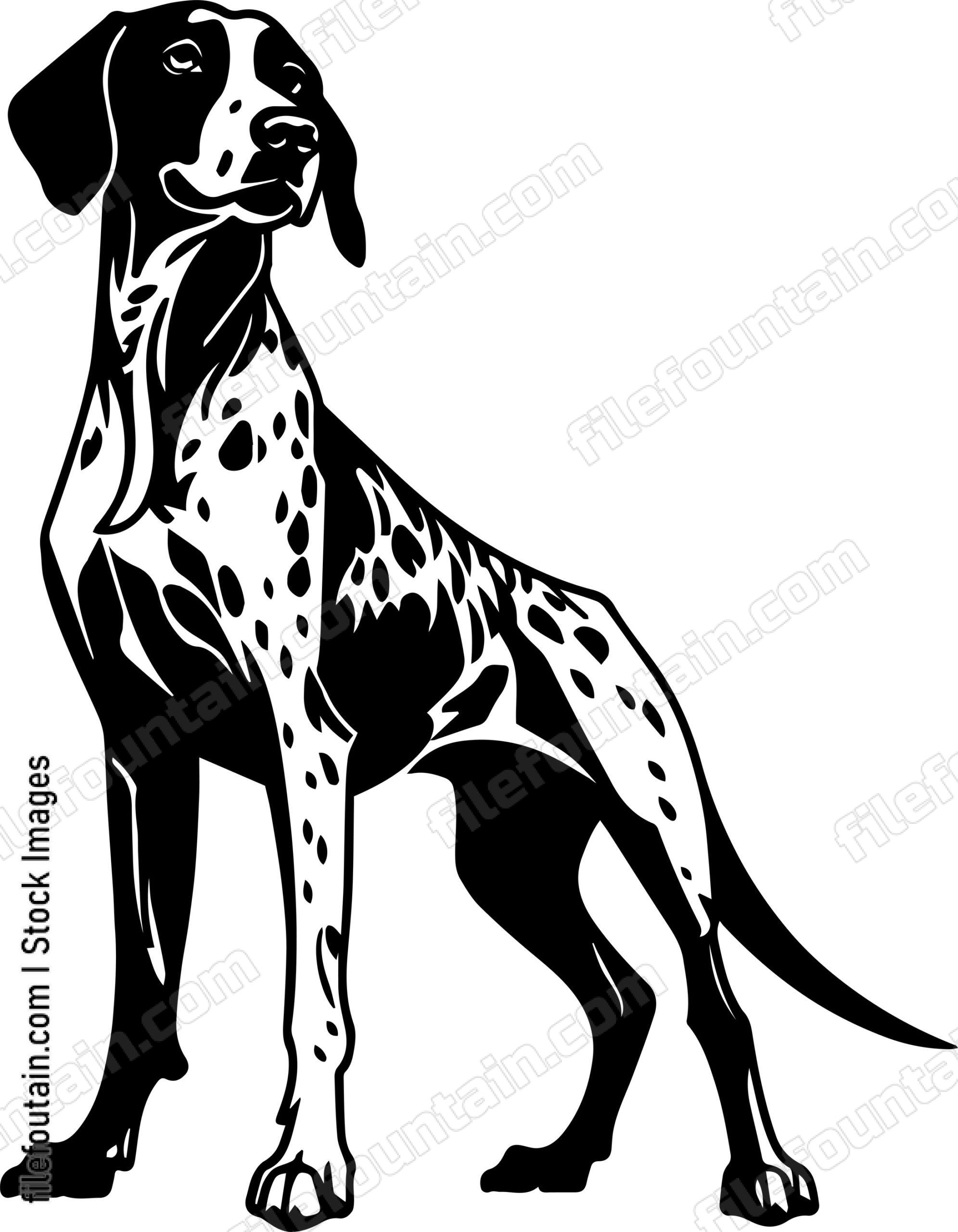 German Shorthaired Pointer