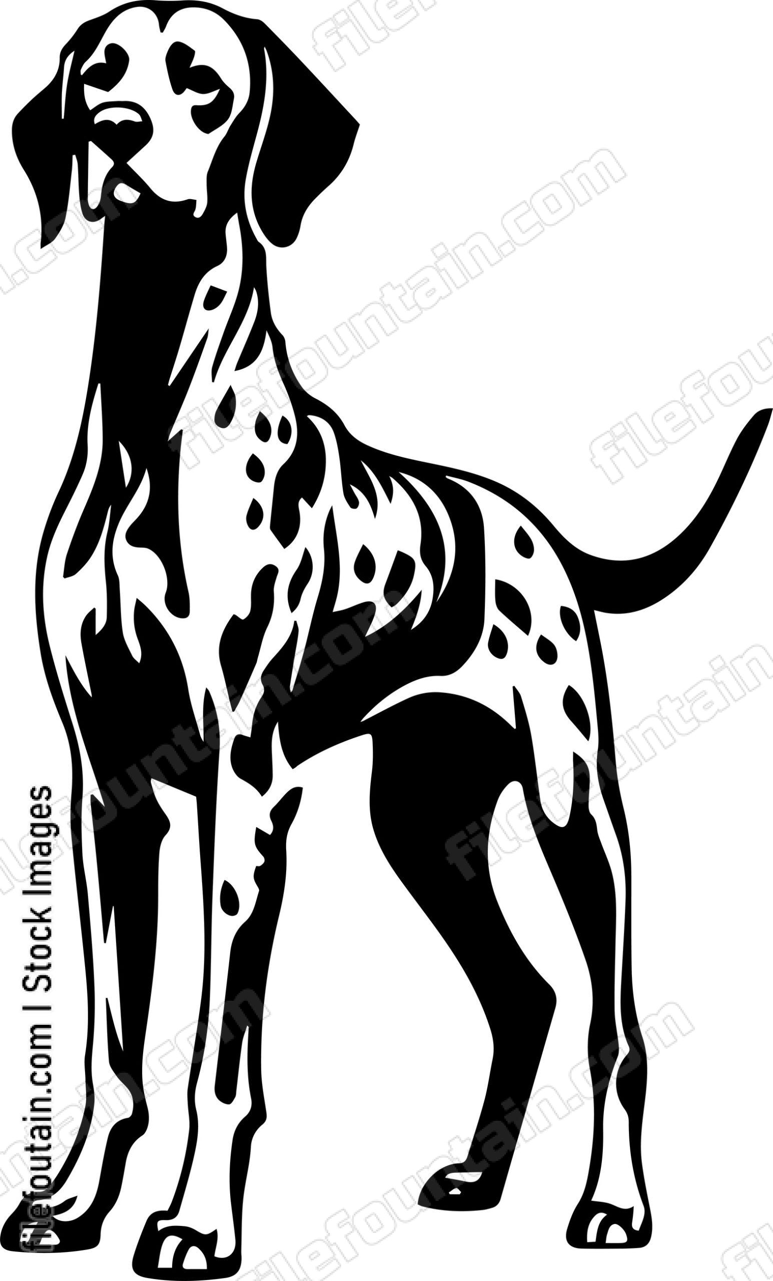 German Shorthaired Pointer
