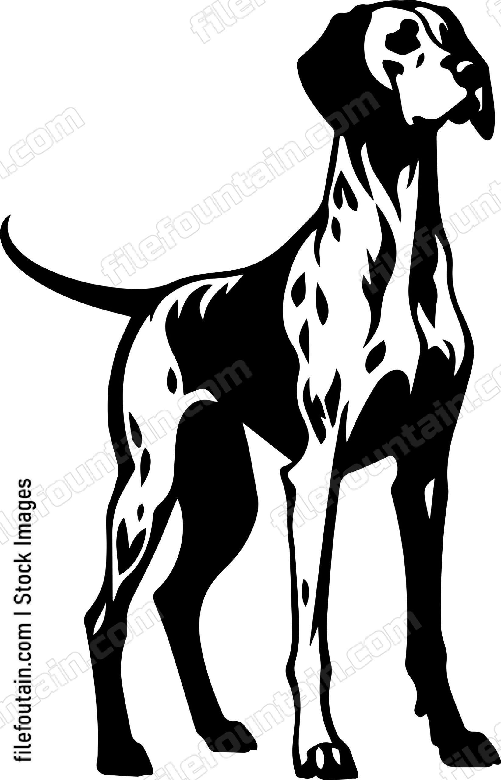 German Shorthaired Pointer