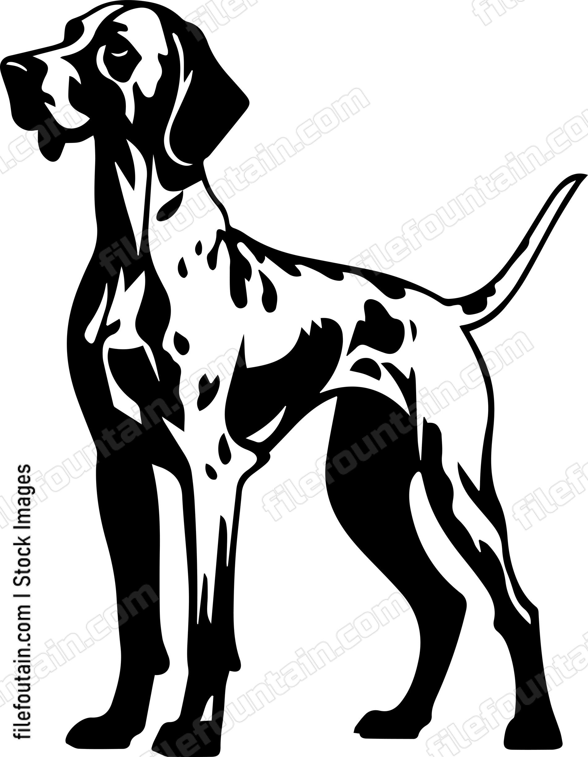 German Shorthaired Pointer