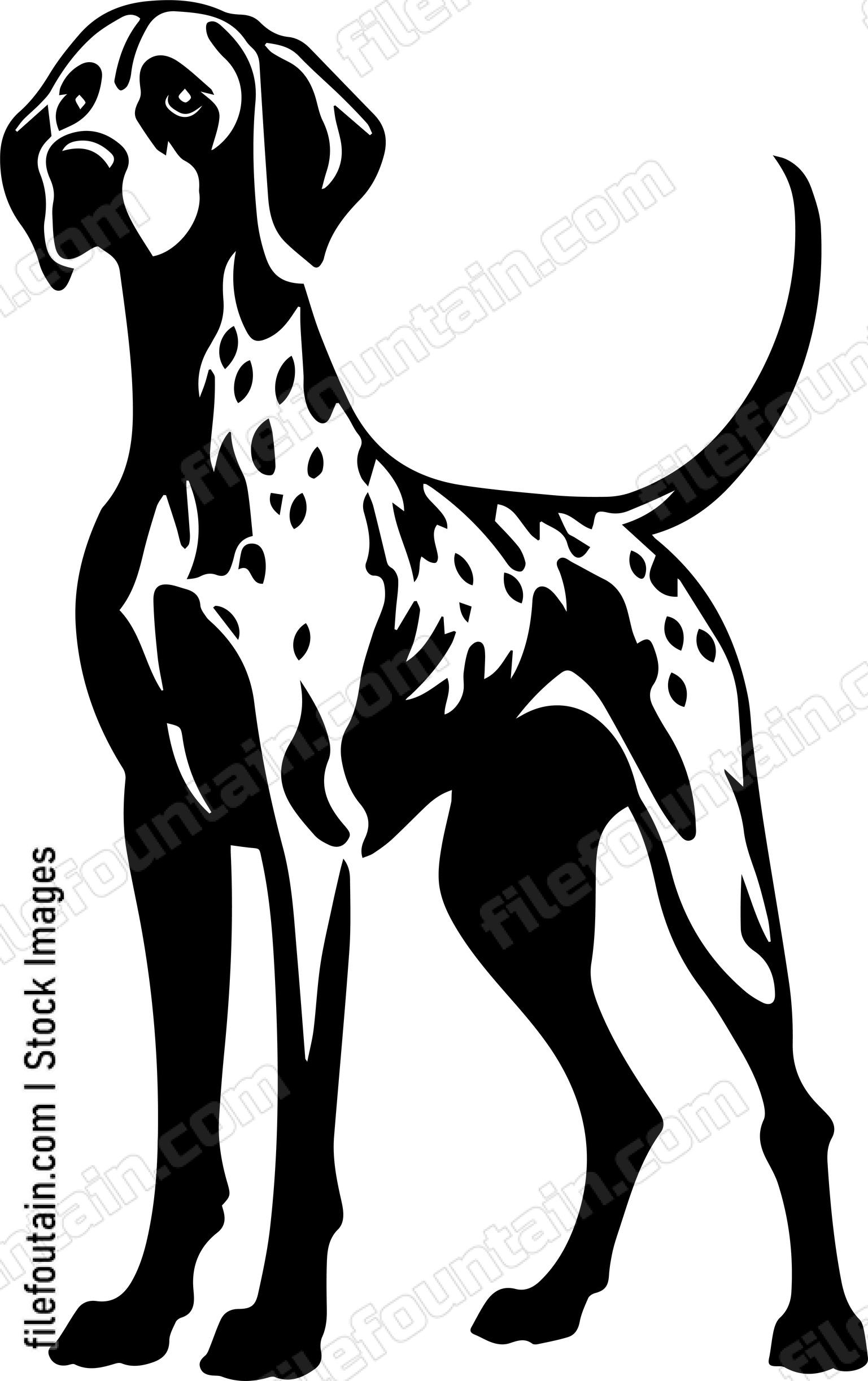 German Shorthaired Pointer