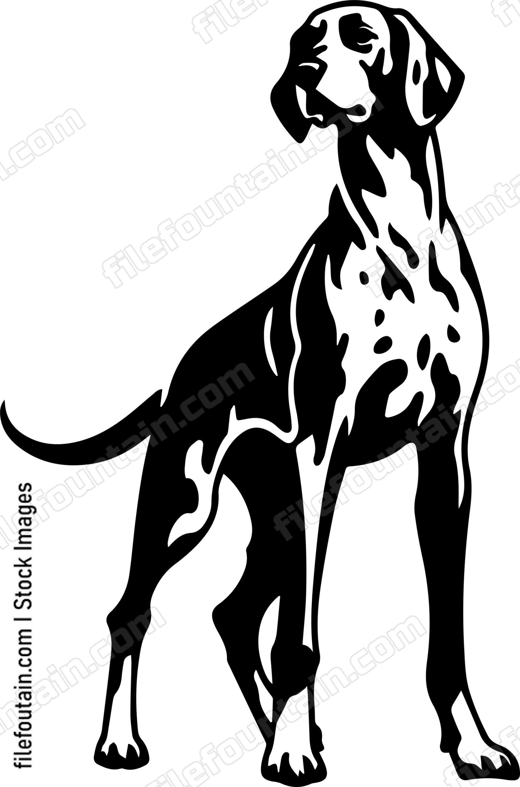German Shorthaired Pointer