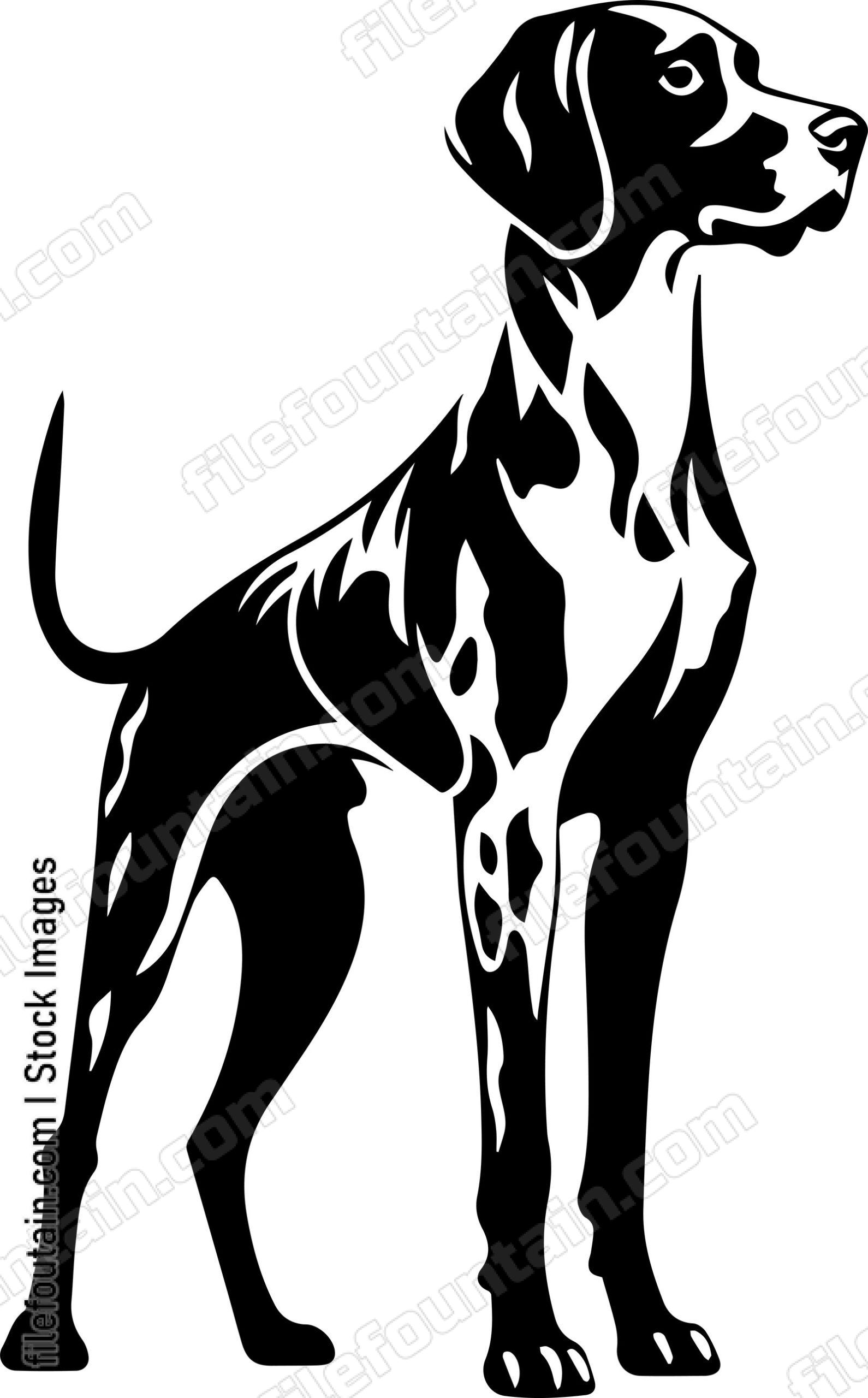 German Shorthaired Pointer