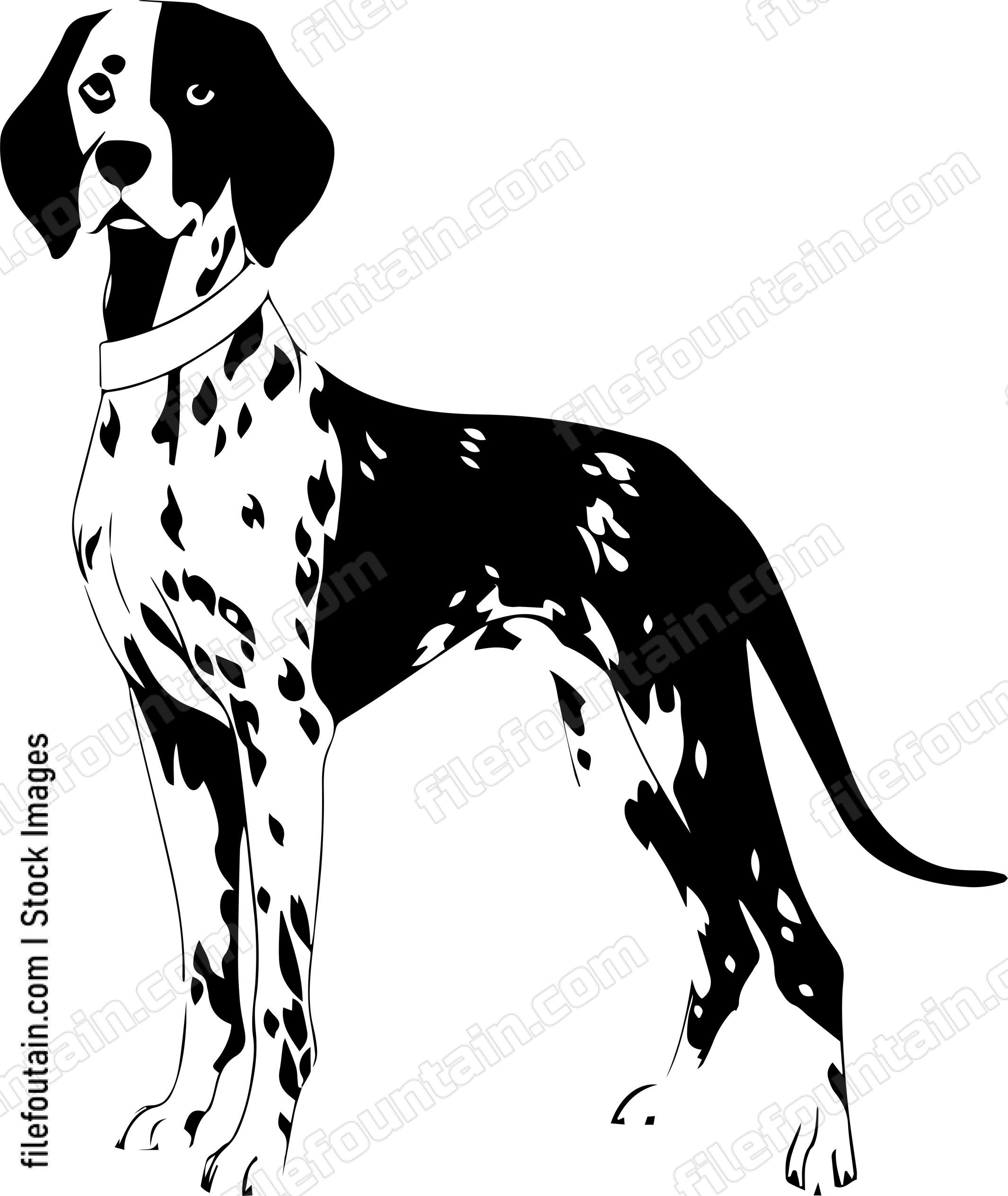 German Shorthaired Pointer