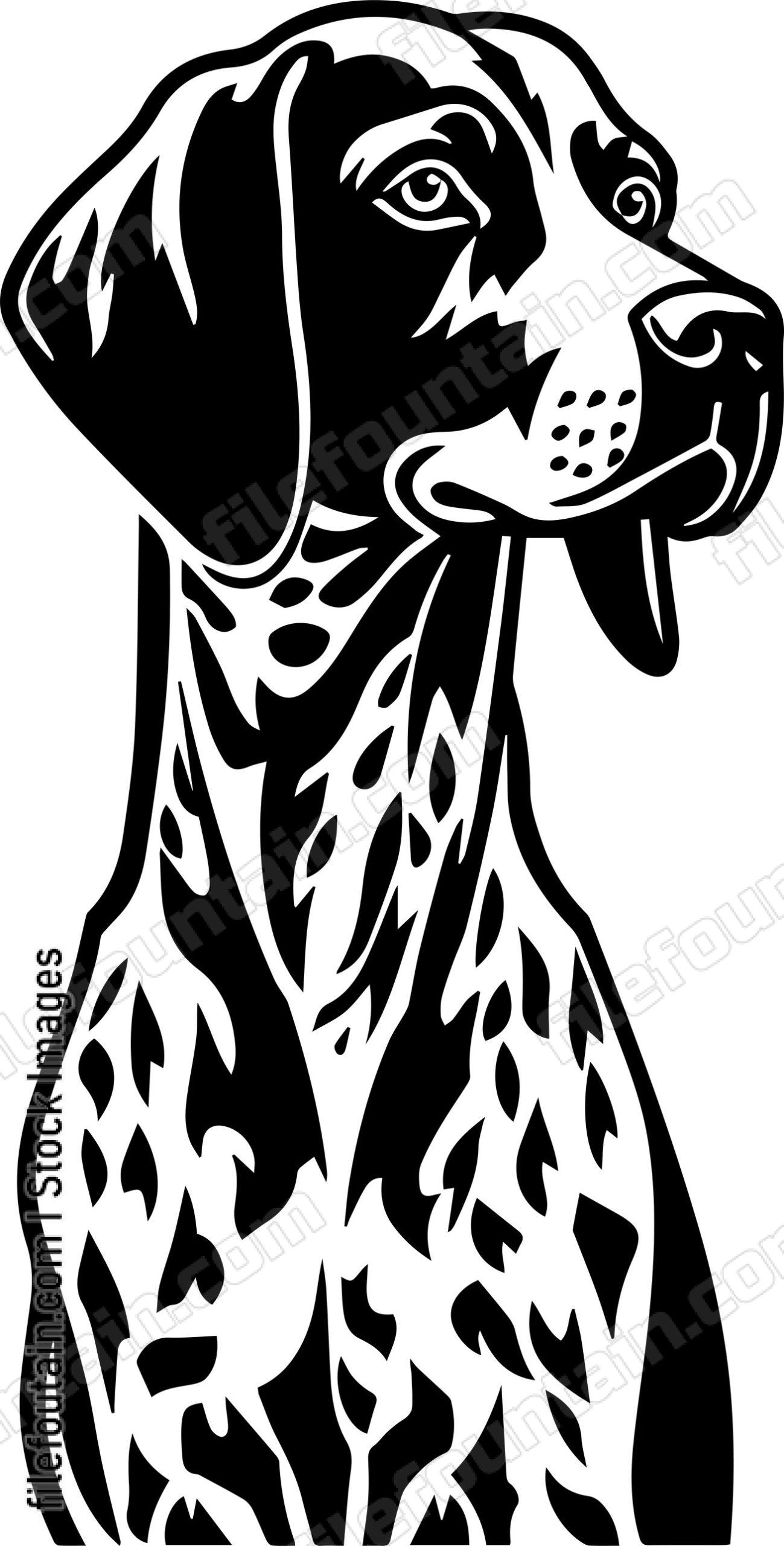 German Shorthaired Pointer