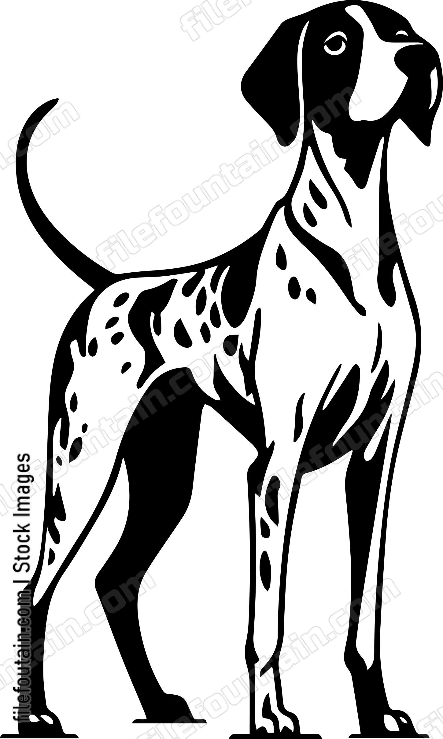 German Shorthaired Pointer