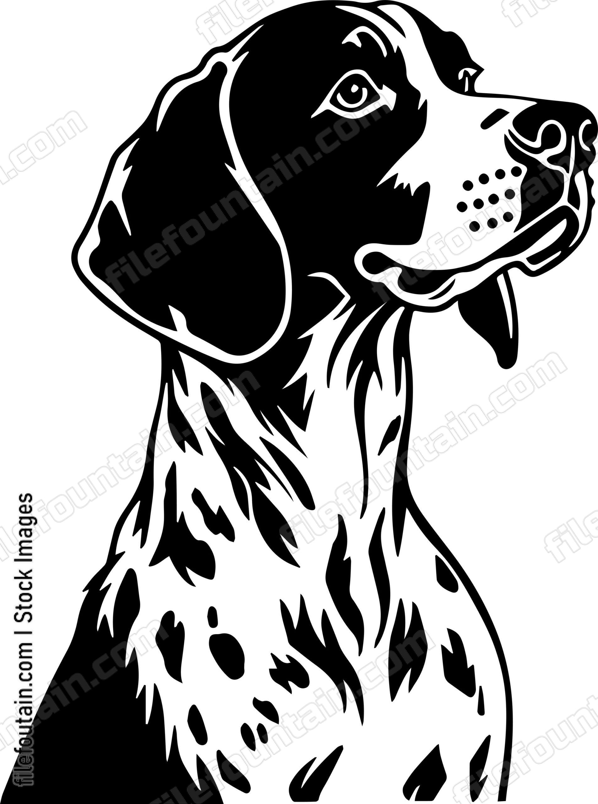 German Shorthaired Pointer