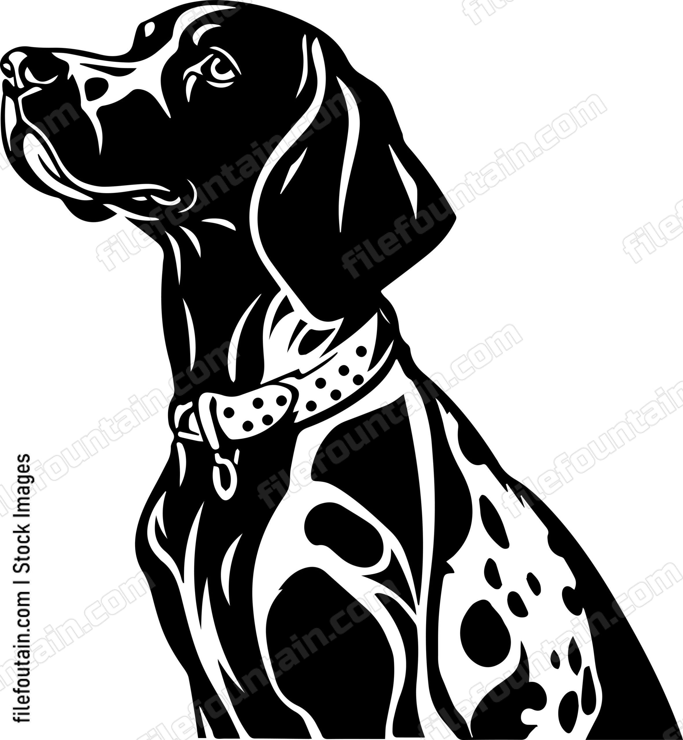 German Shorthaired Pointer