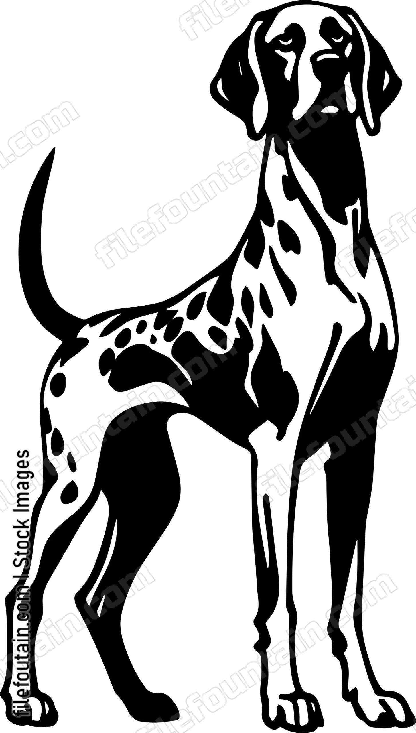 German Shorthaired Pointer