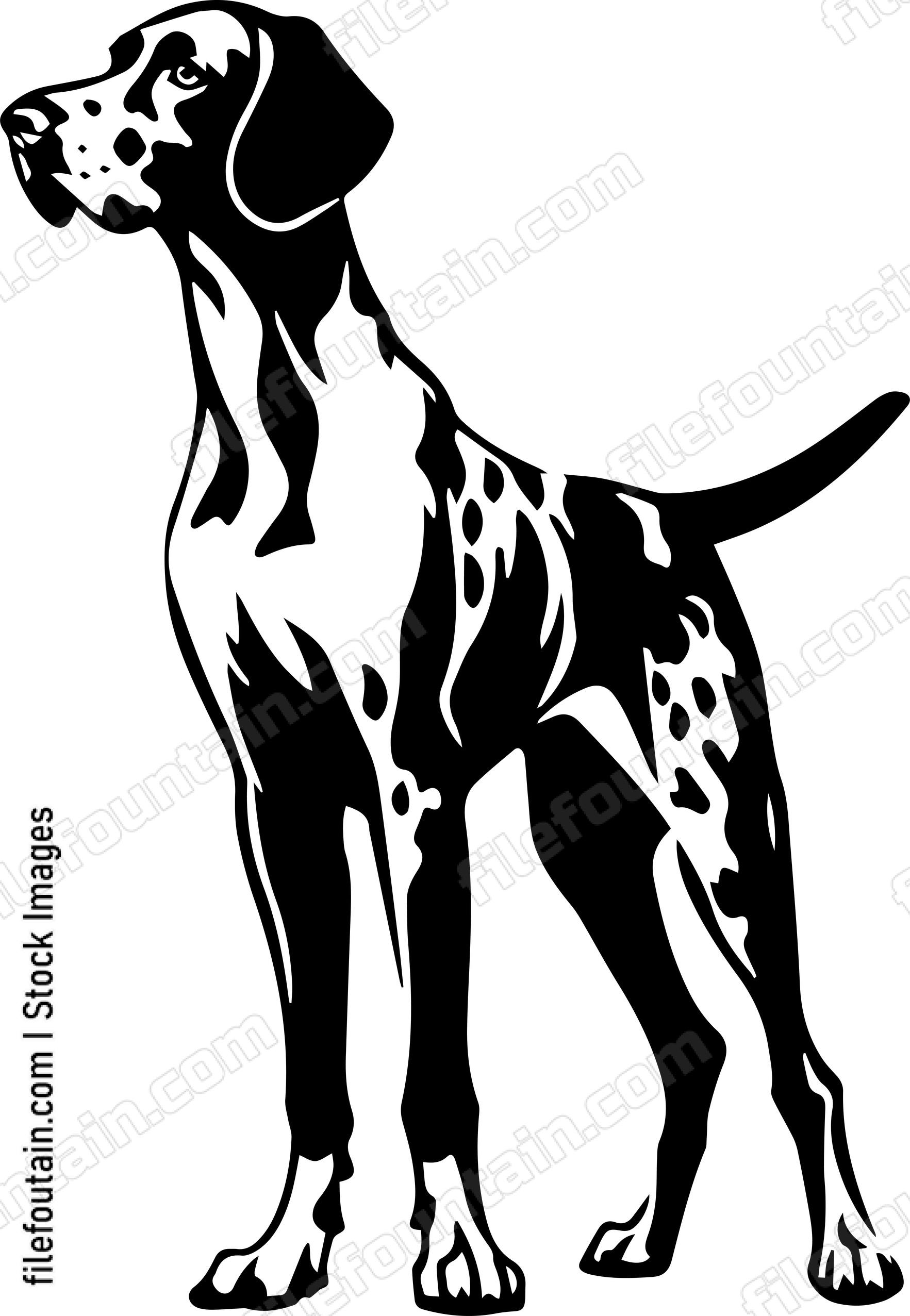 German Shorthaired Pointer